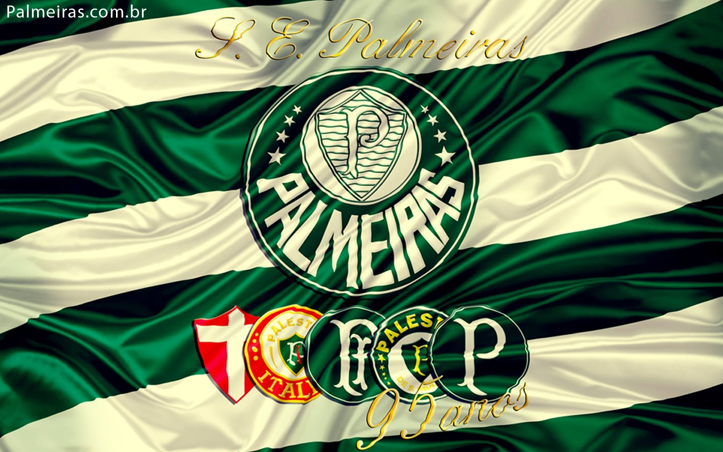 Palmeiras Wallpapers