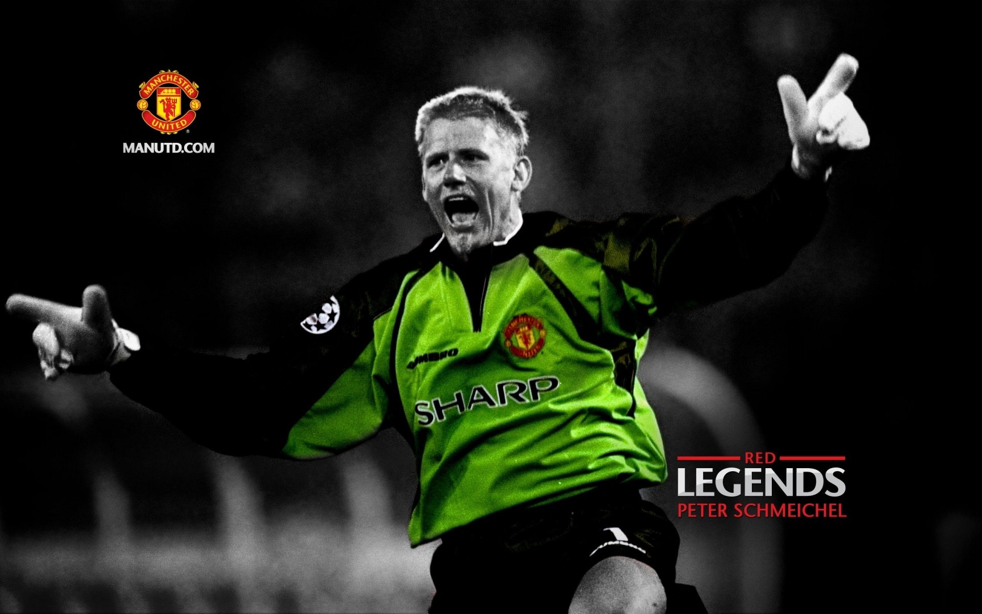 Peter Schmeichel Wallpapers