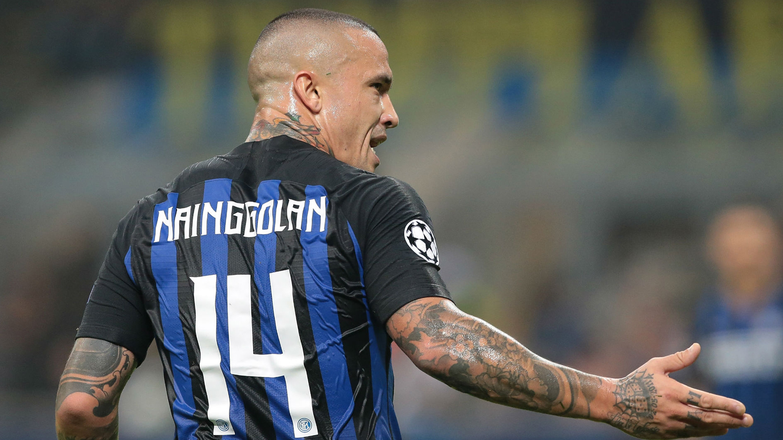 Radja Nainggolan Wallpapers