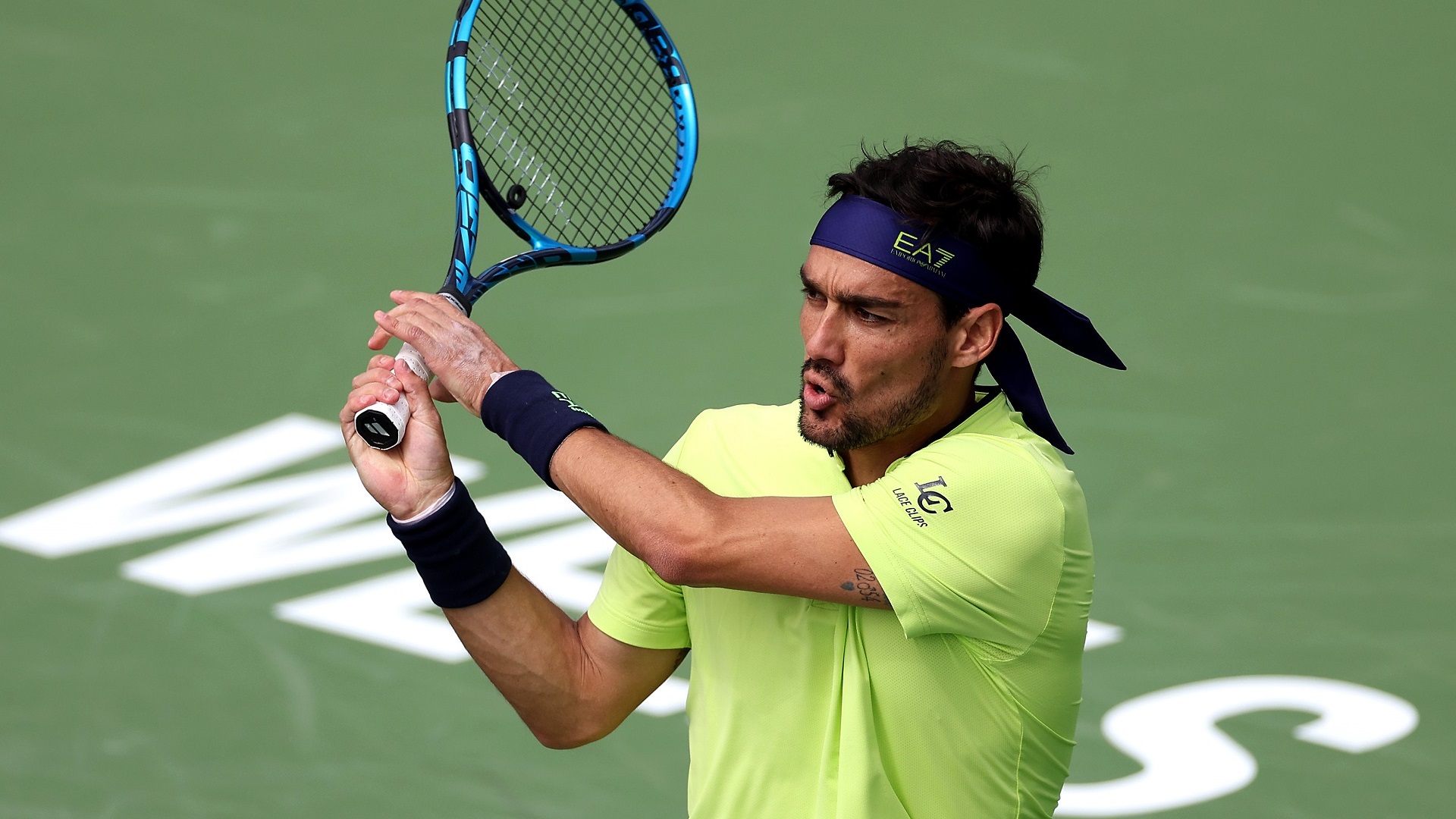 Rimonta Fognini Wallpapers