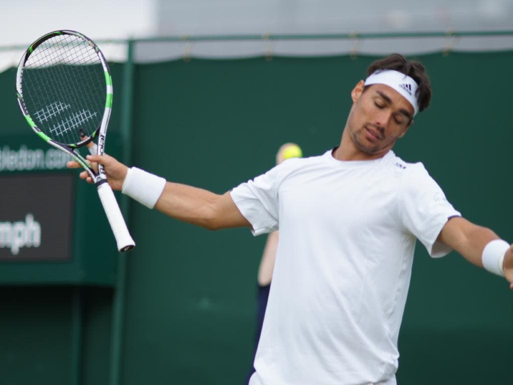 Rimonta Fognini Wallpapers