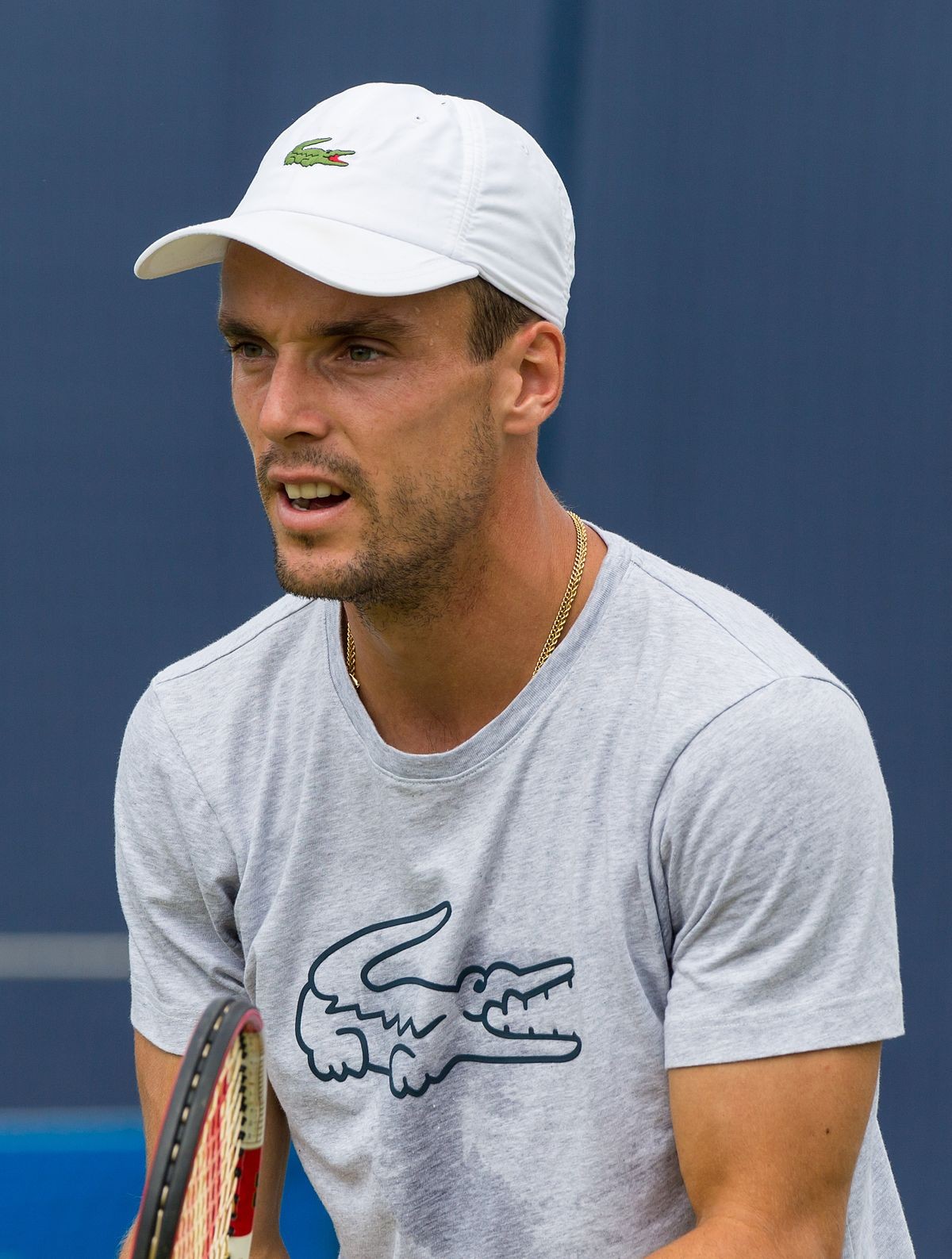 Roberto Bautista Agut Wallpapers