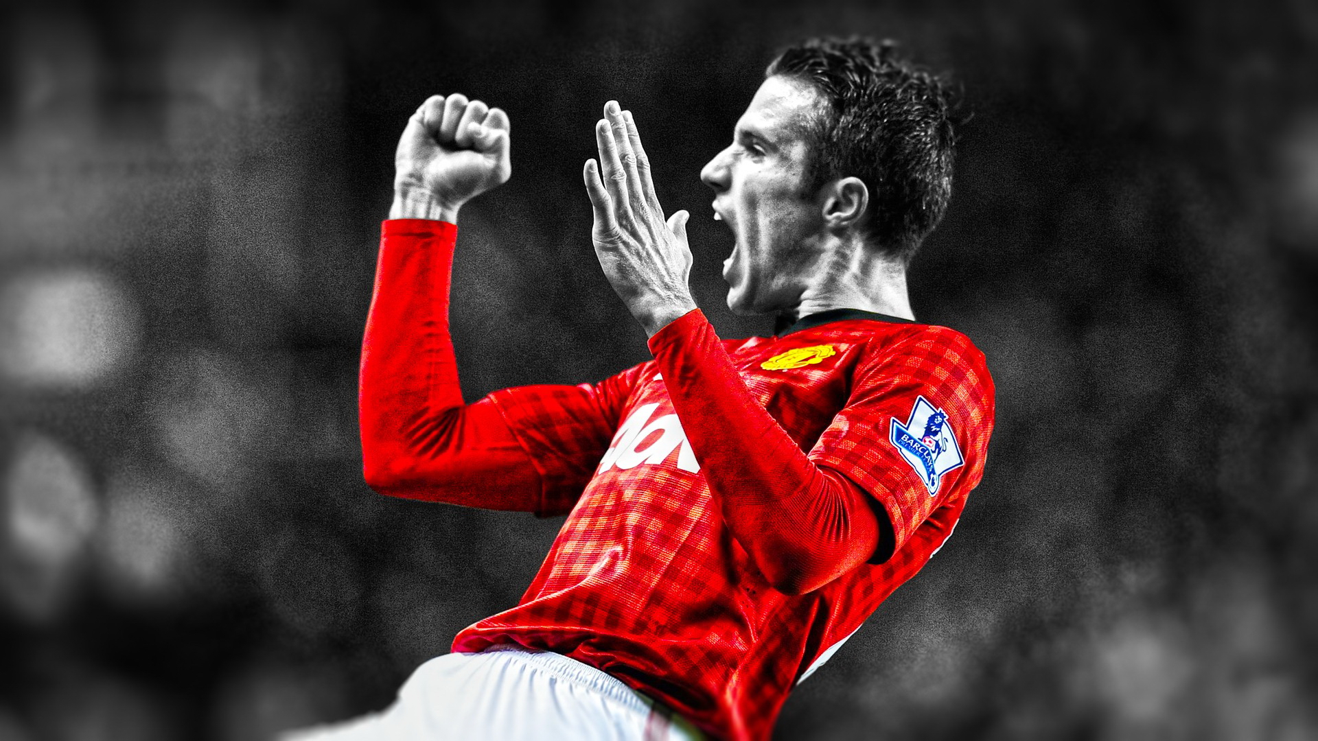 Robin Van Persie Wallpapers