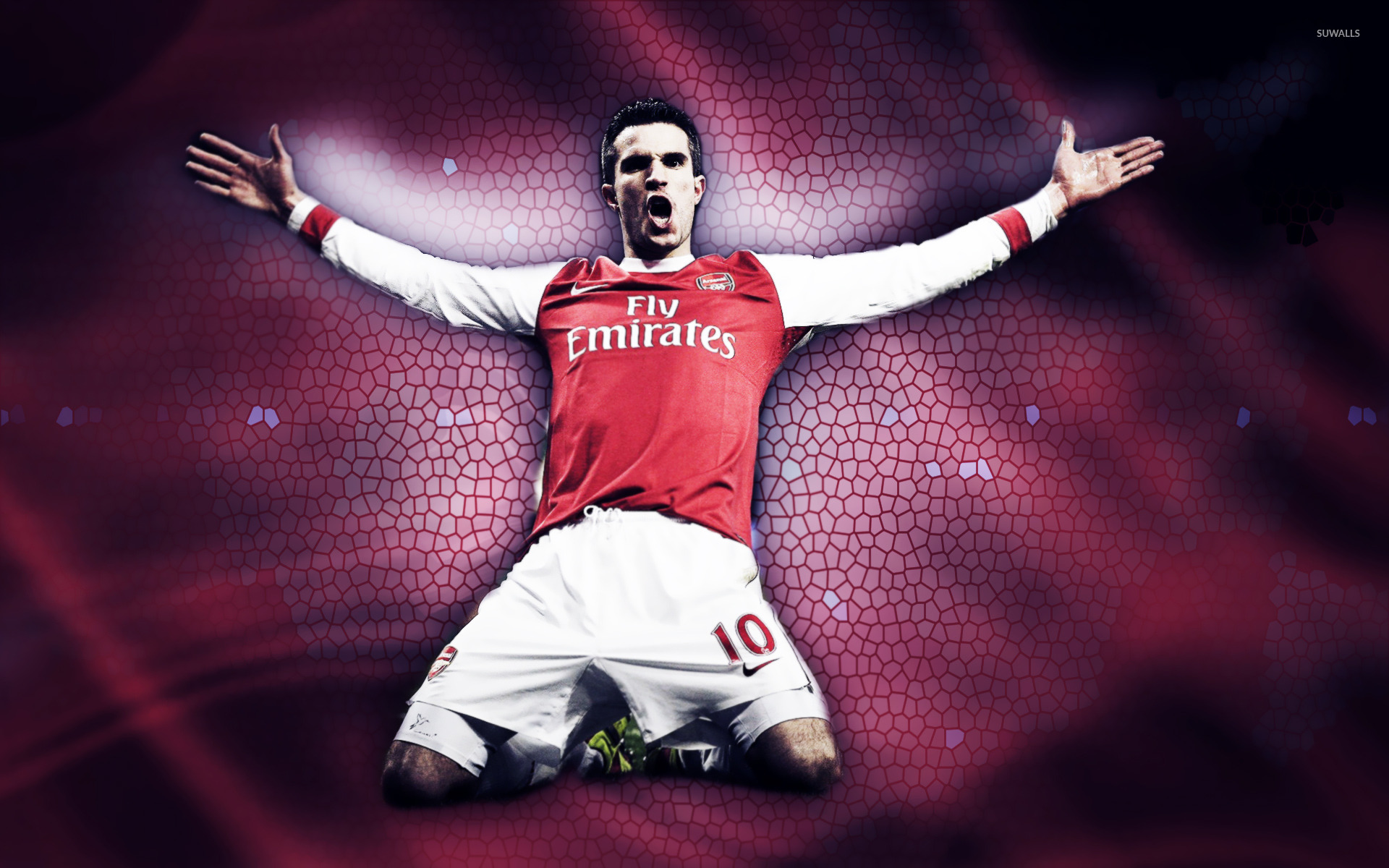 Robin Van Persie Wallpapers