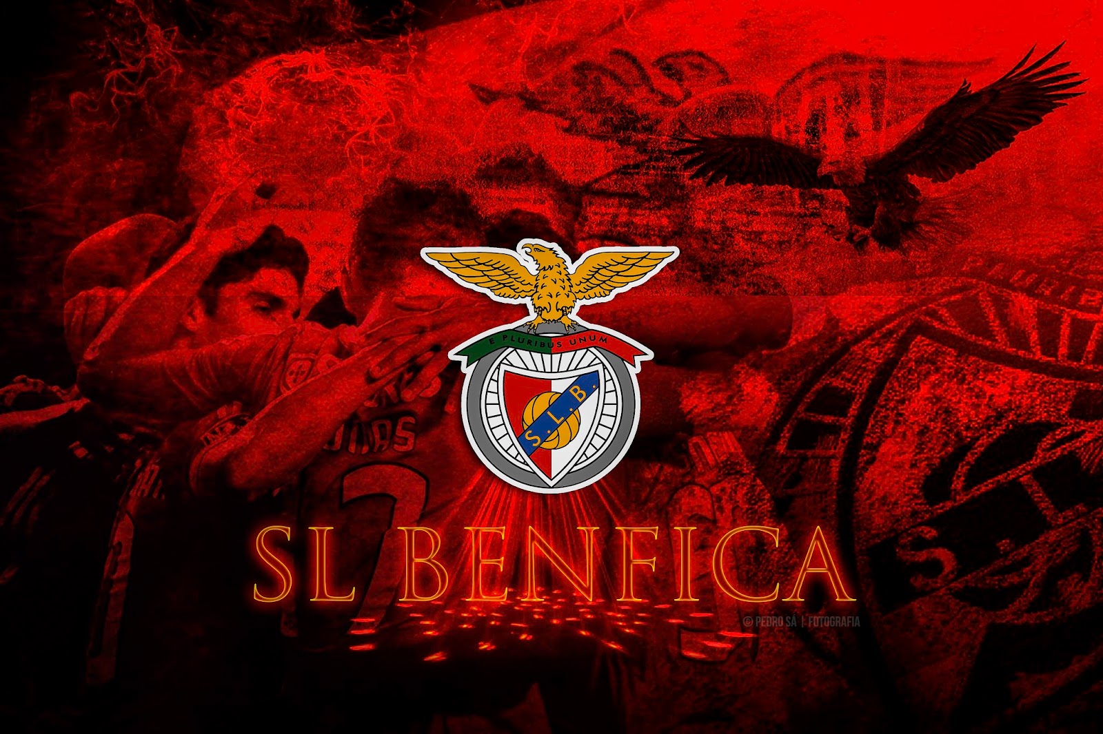 S.L. Benfica Wallpapers