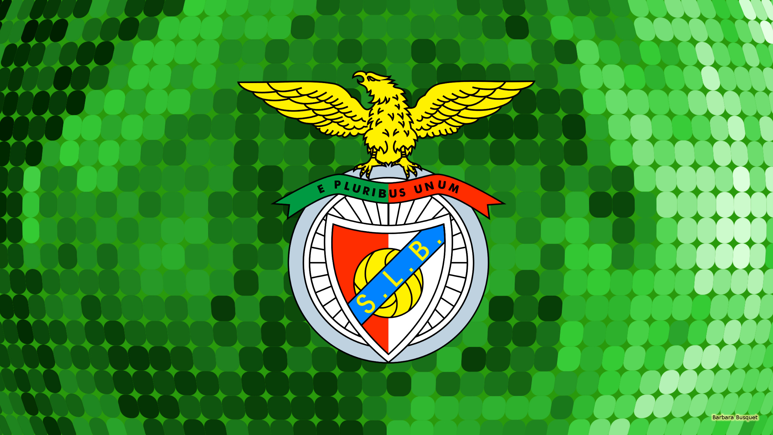 S.L. Benfica Wallpapers