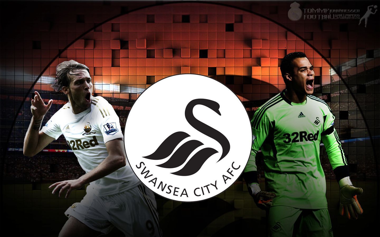 Swansea City A.F.C. Wallpapers