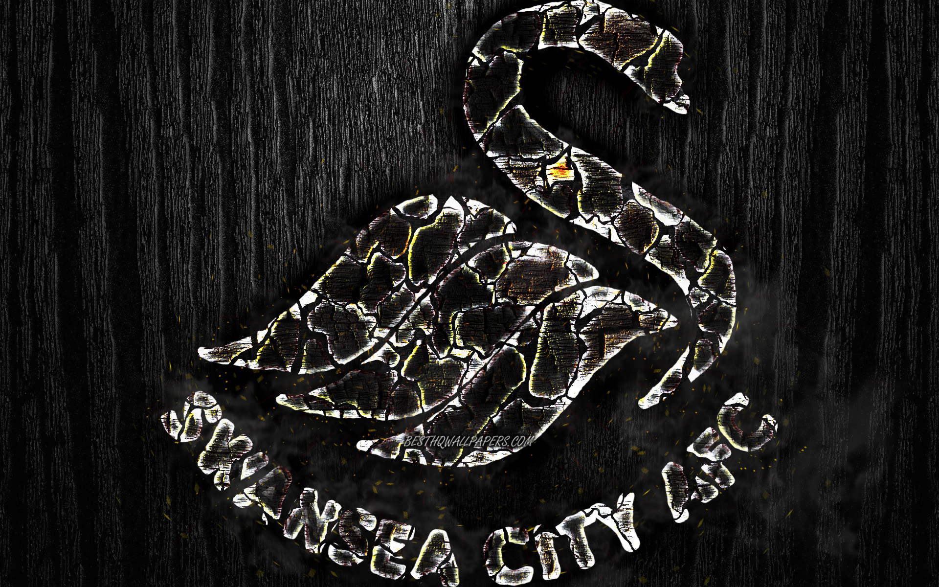 Swansea City A.F.C. Wallpapers