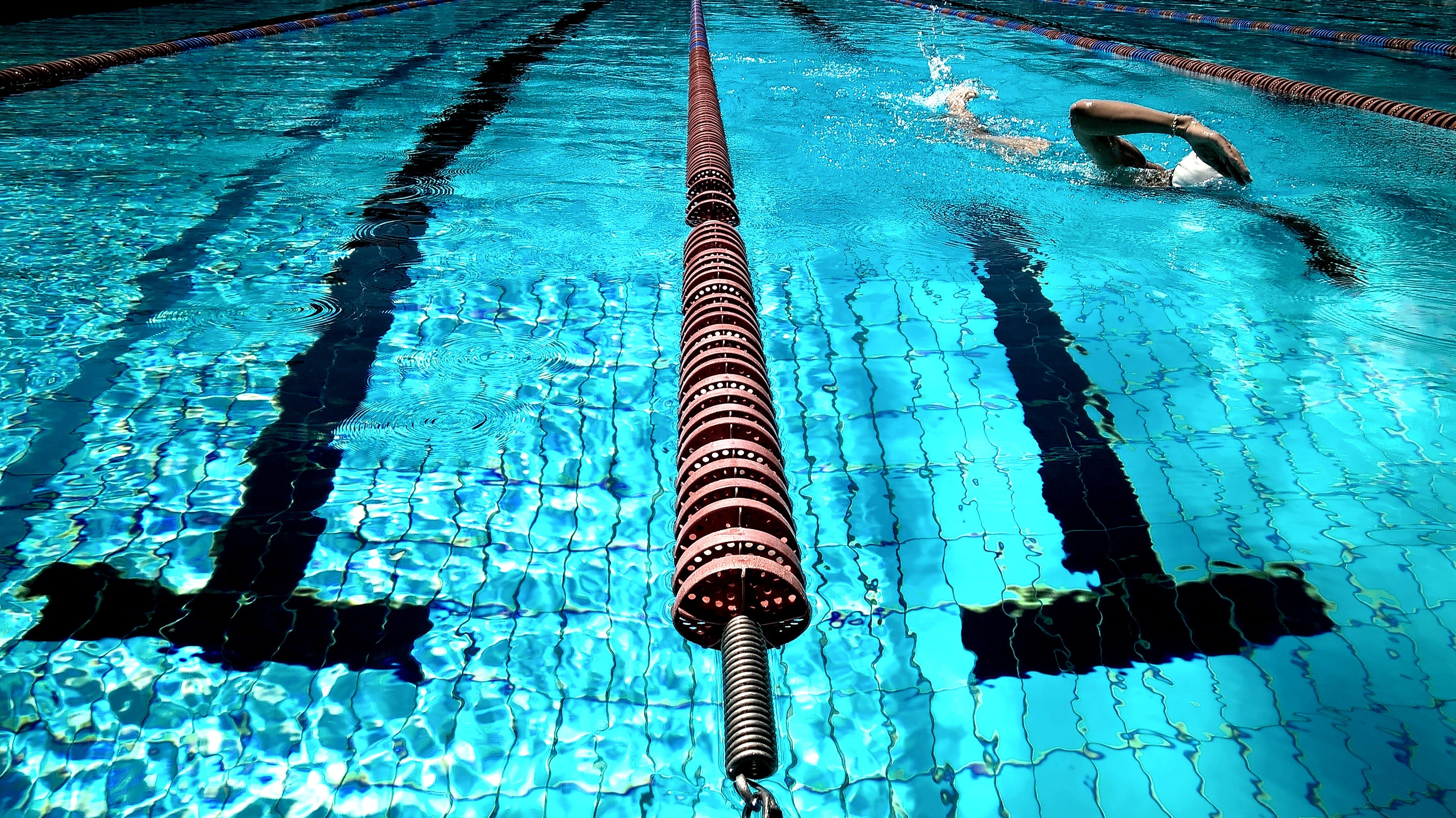 Swimming Wallpapers