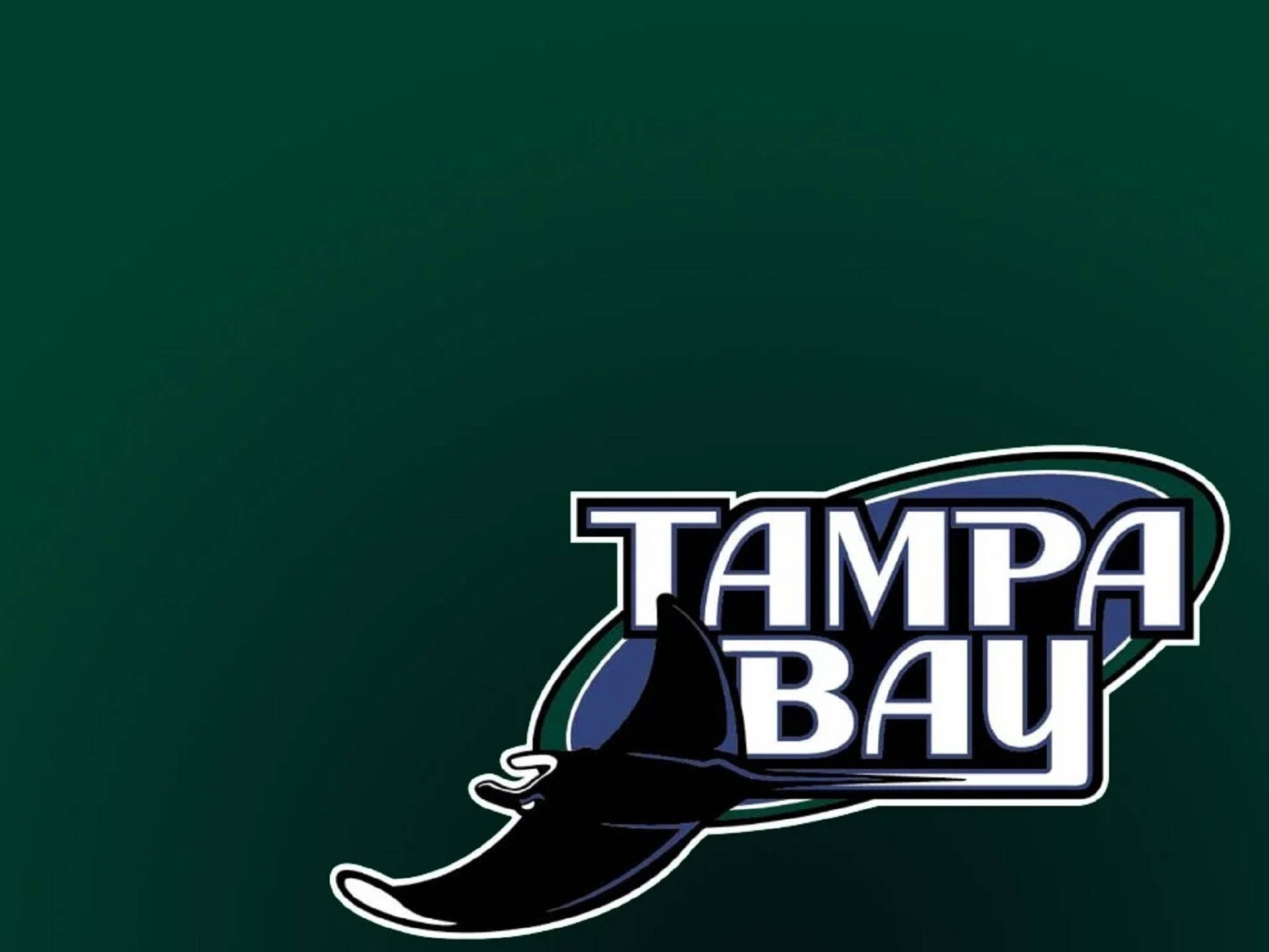 Tampa Bay Rays Wallpapers
