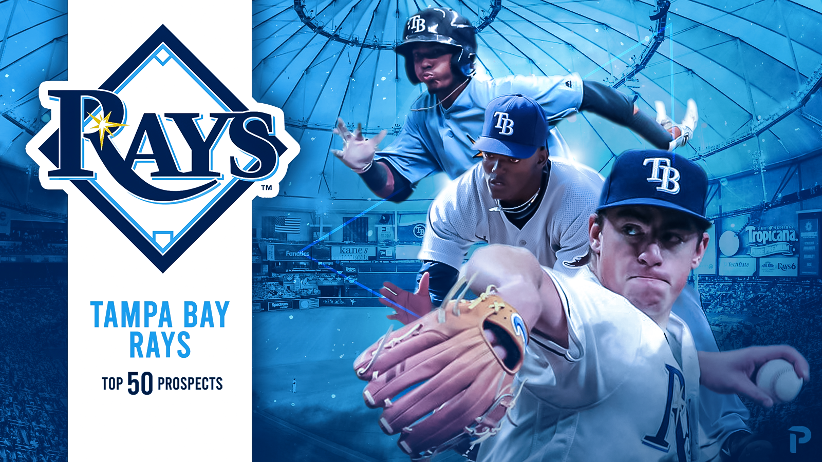 Tampa Bay Rays Wallpapers