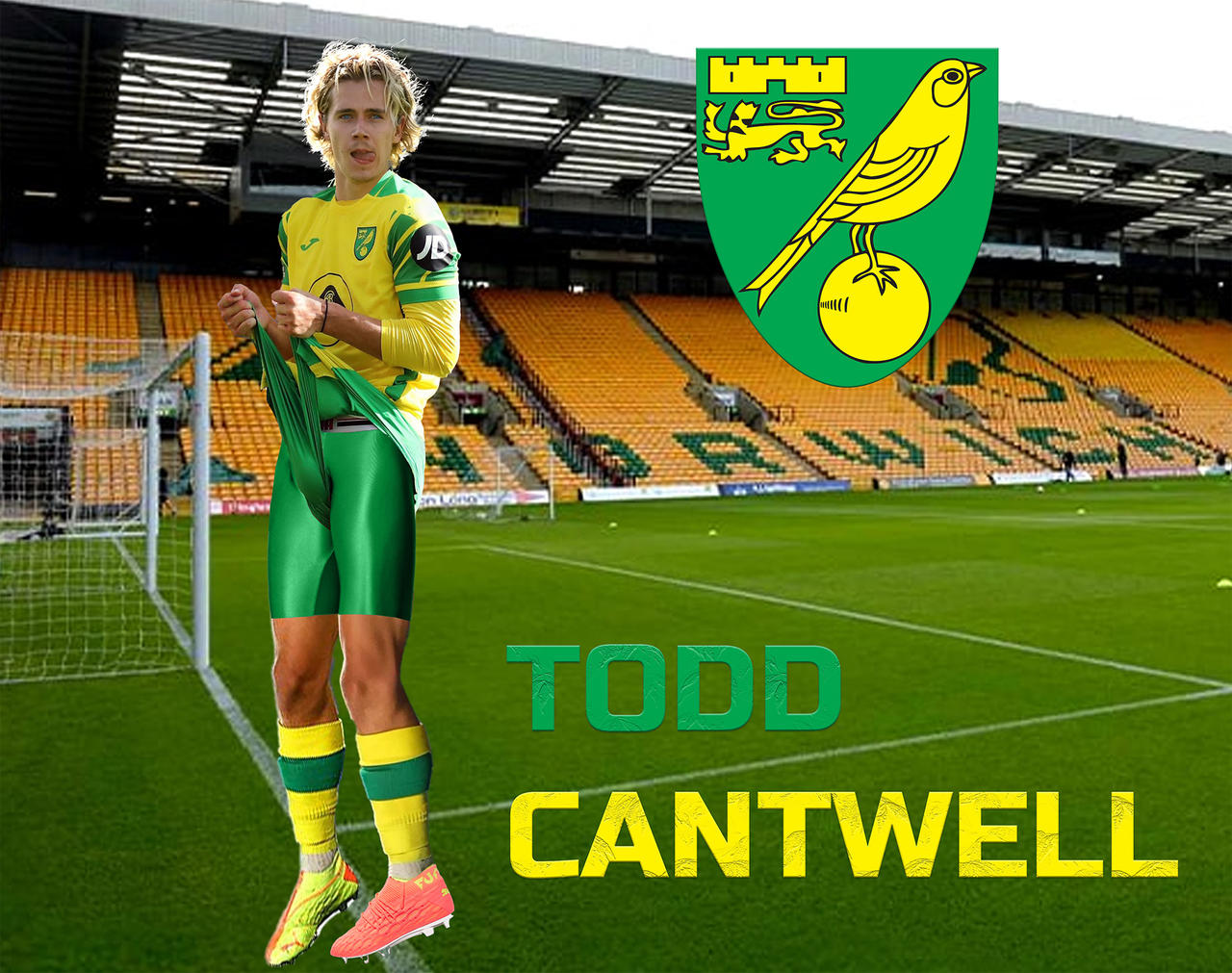 Todd Cantwell Wallpapers
