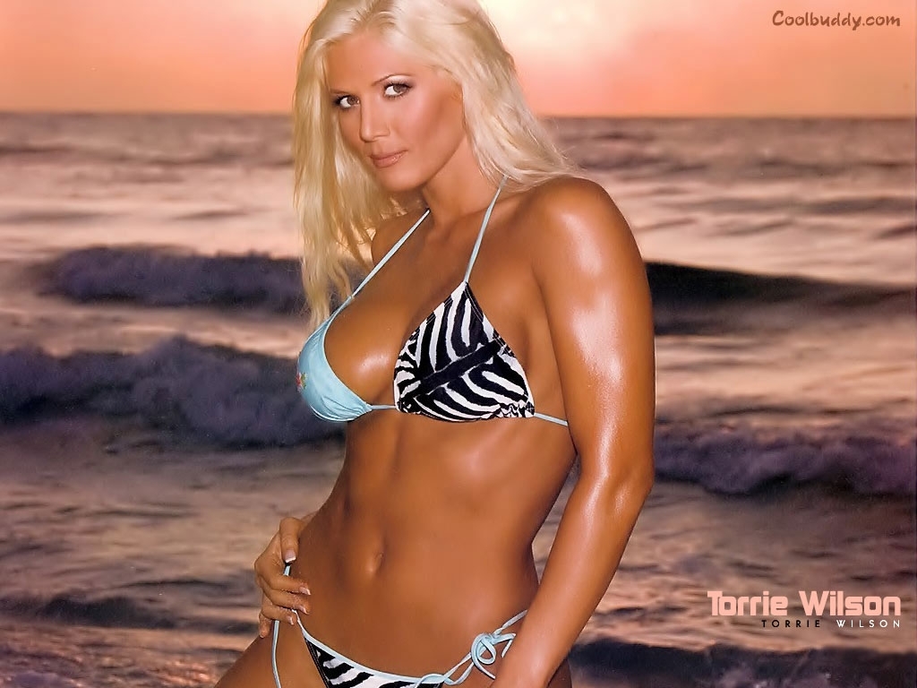 Torrie Wilson Wallpapers