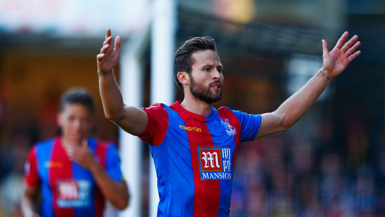 Yohan Cabaye Wallpapers