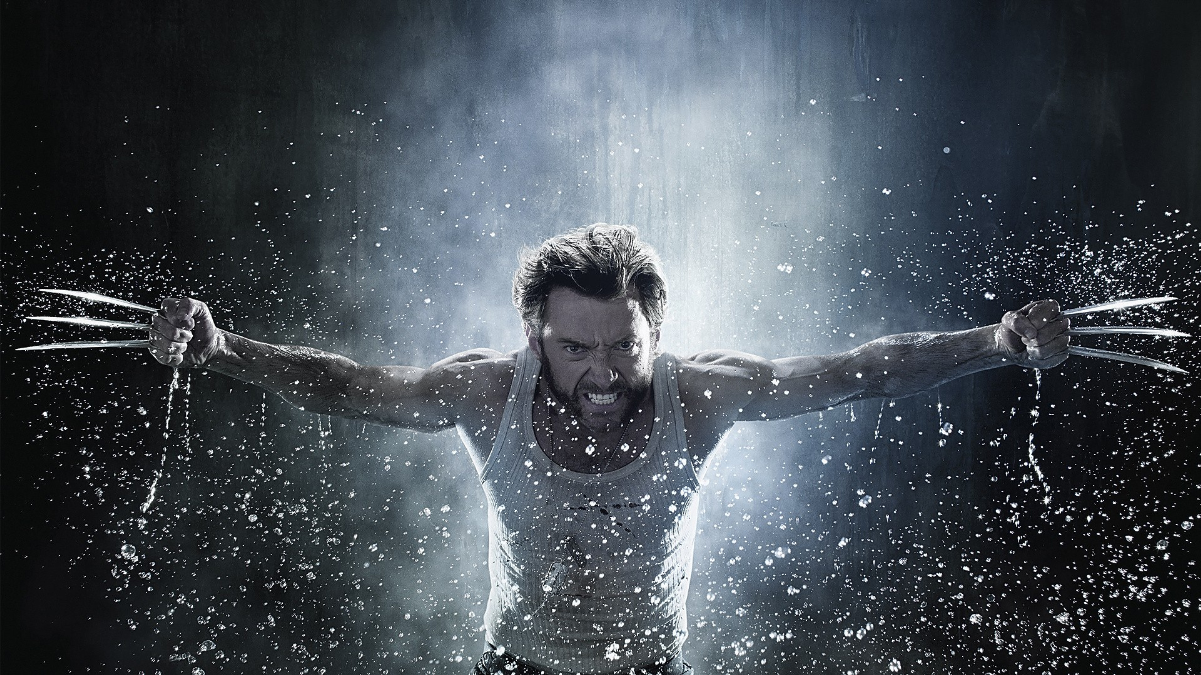 Hugh Jackman As Wolverine Artwork Wallpapers