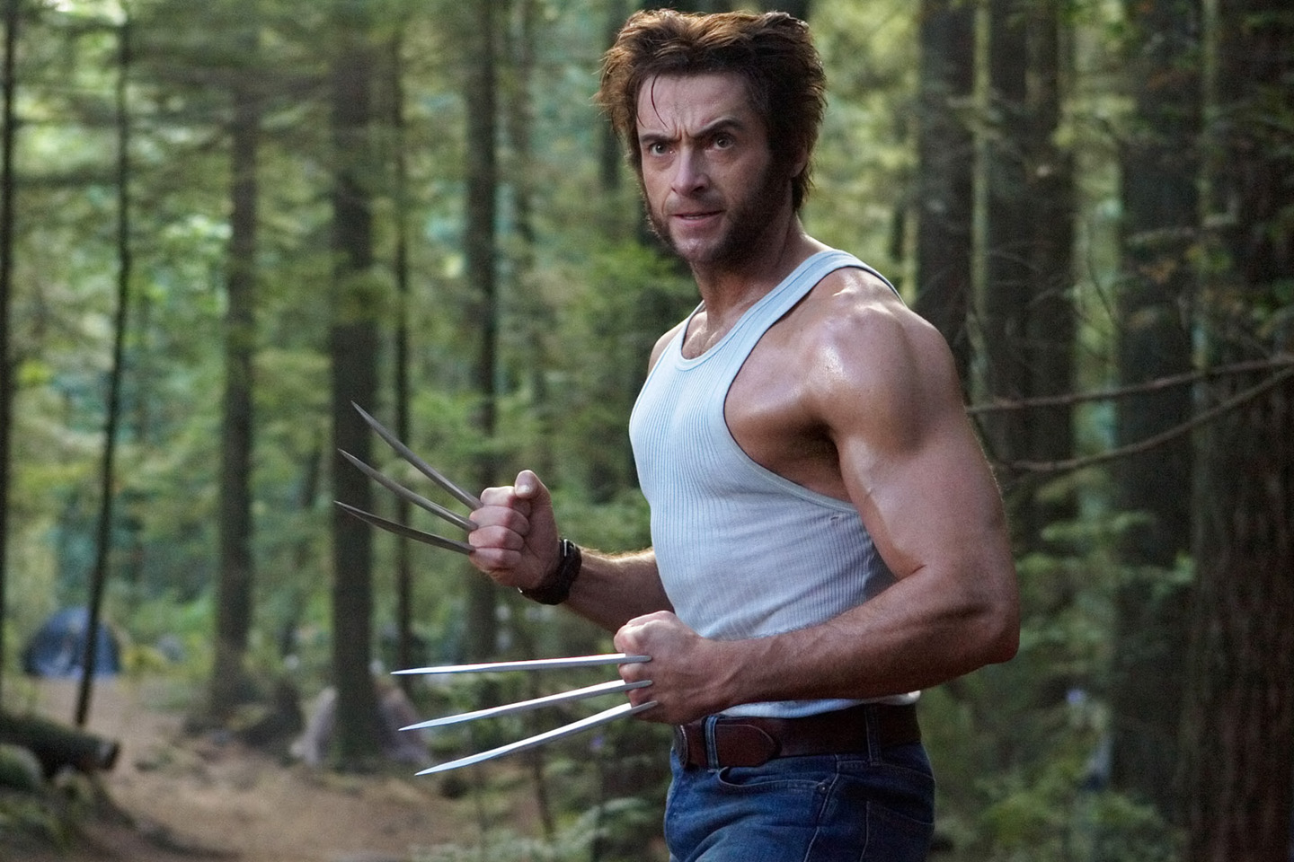 Hugh Jackman As Wolverine Artwork Wallpapers