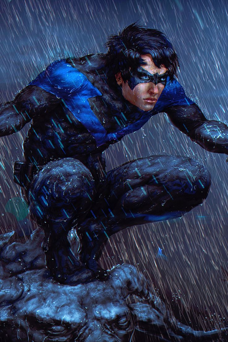 Nightwing Fighting Art Wallpapers