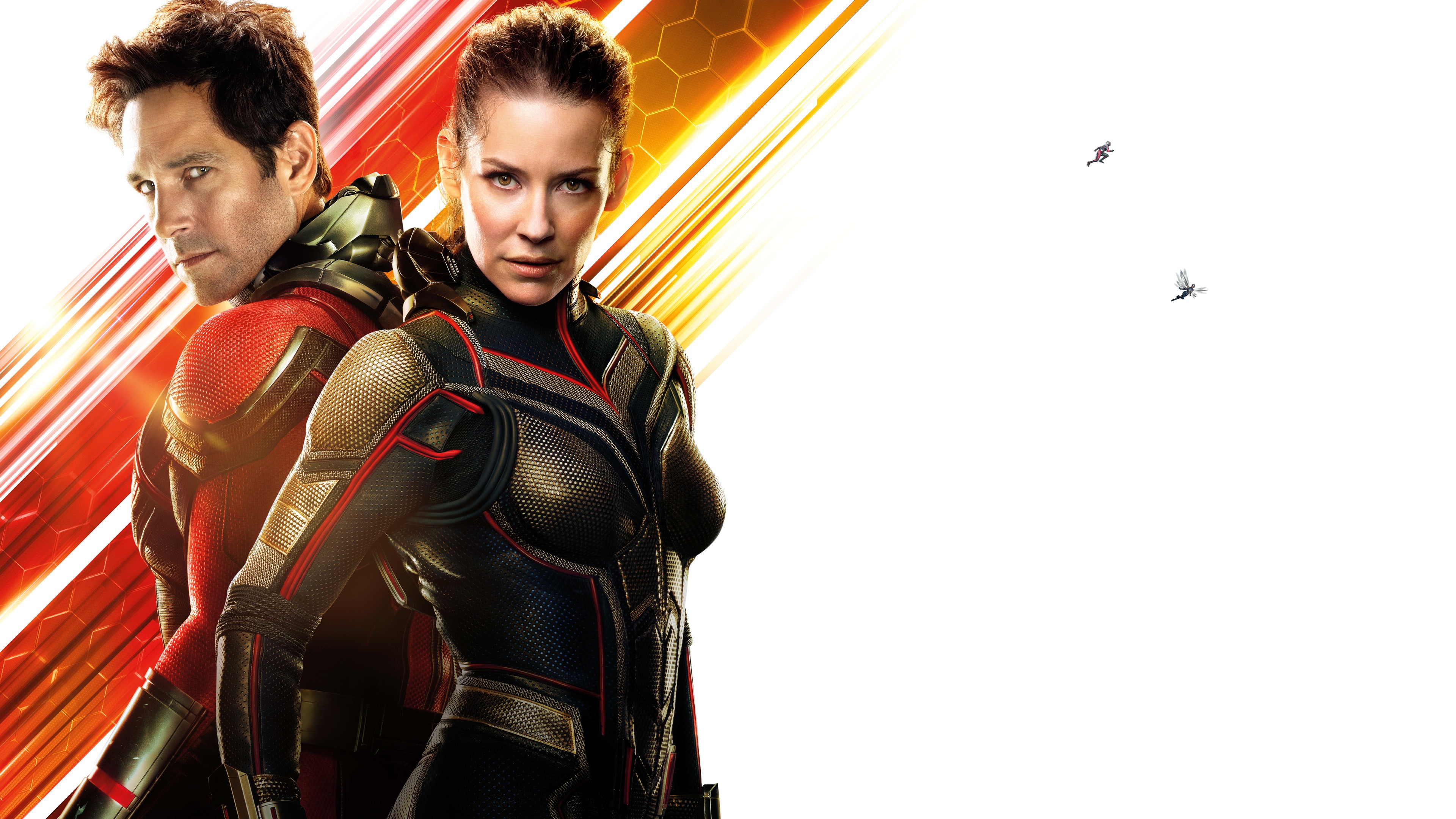 The Wasp Wallpapers