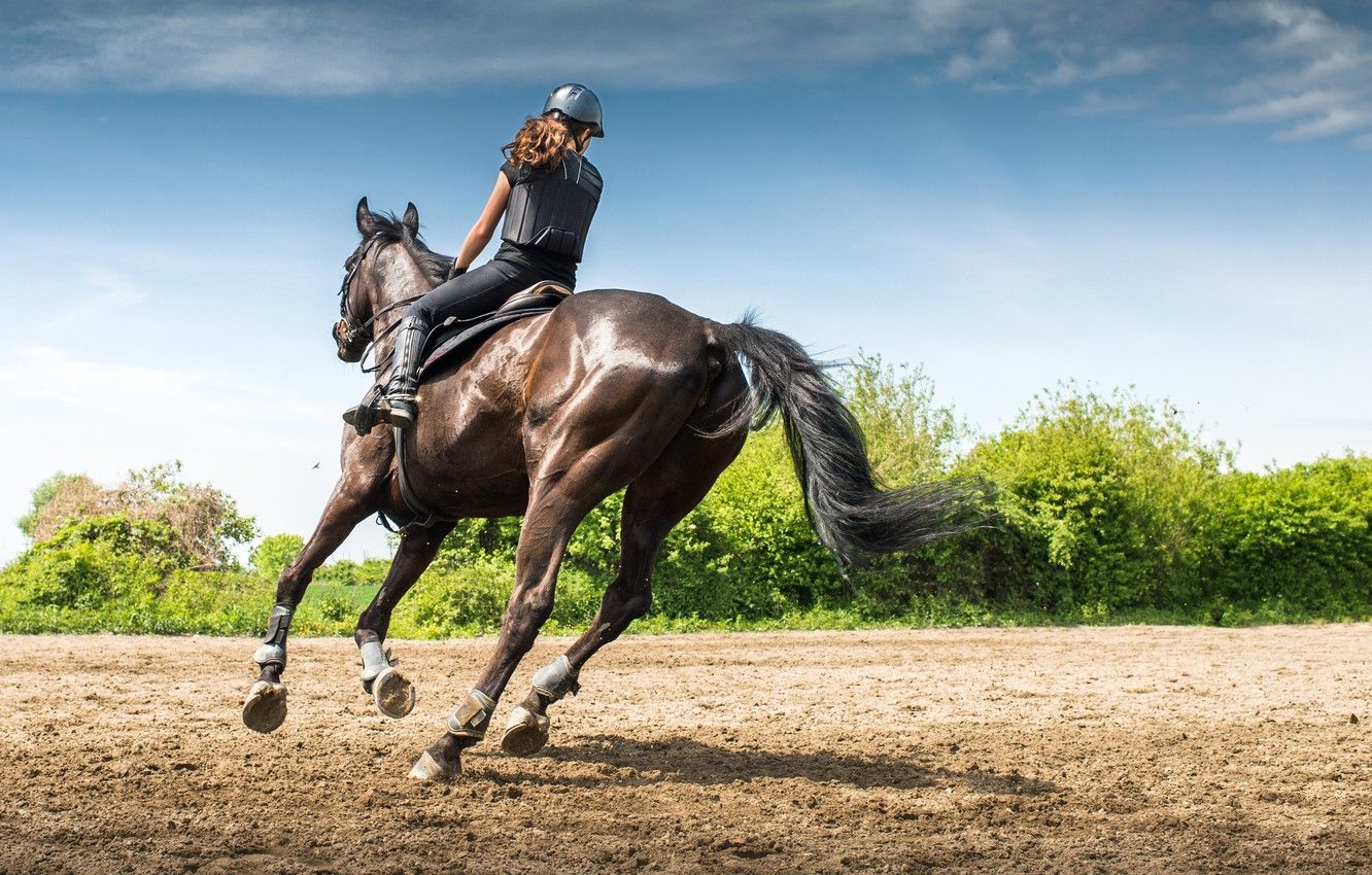 Wonder Woman Riding Horse Wallpapers