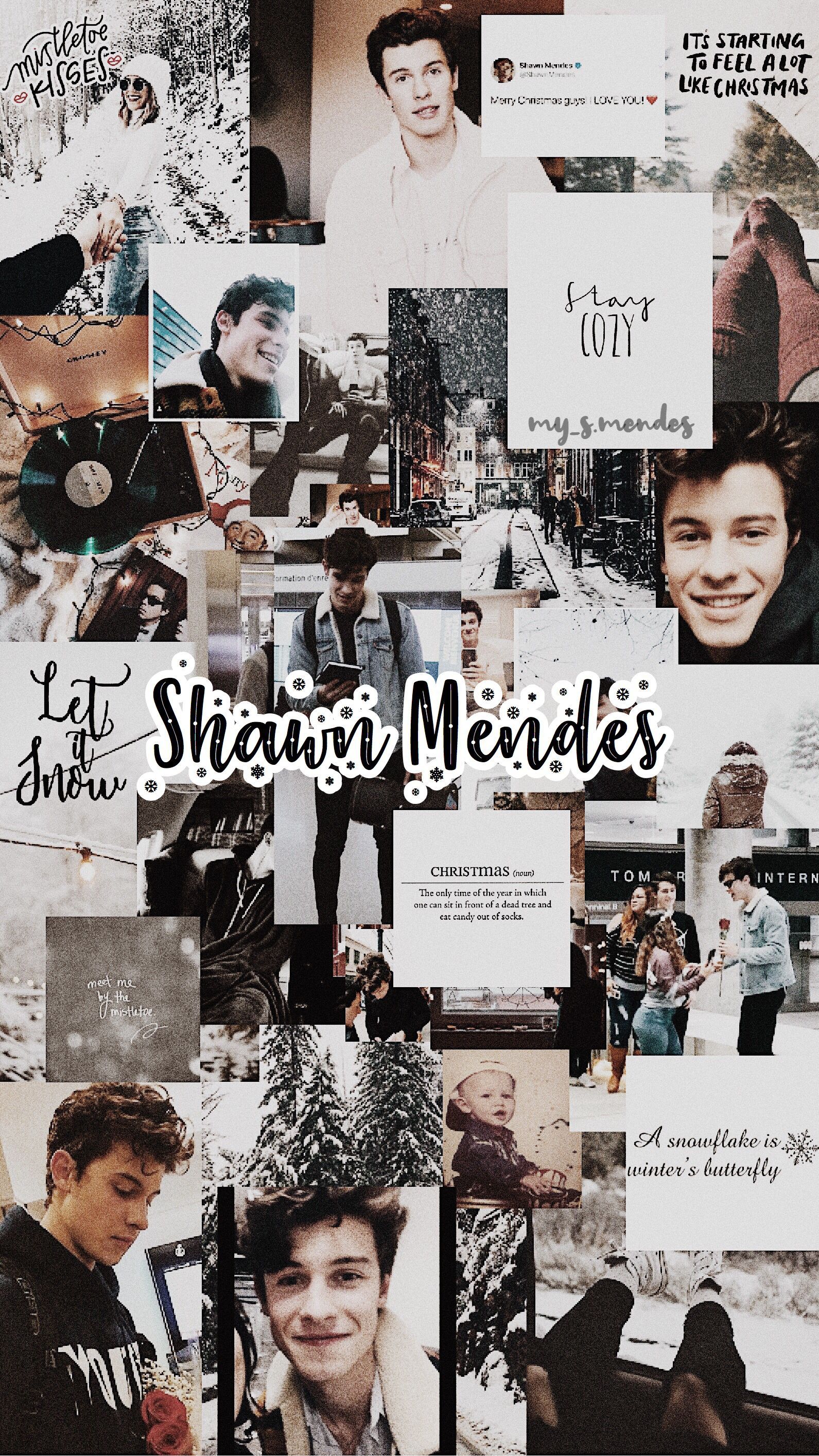 Shawn Mendes Wallpapers