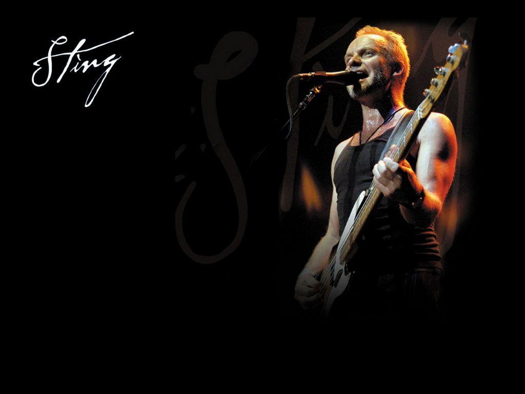 Sting Musician Wallpapers