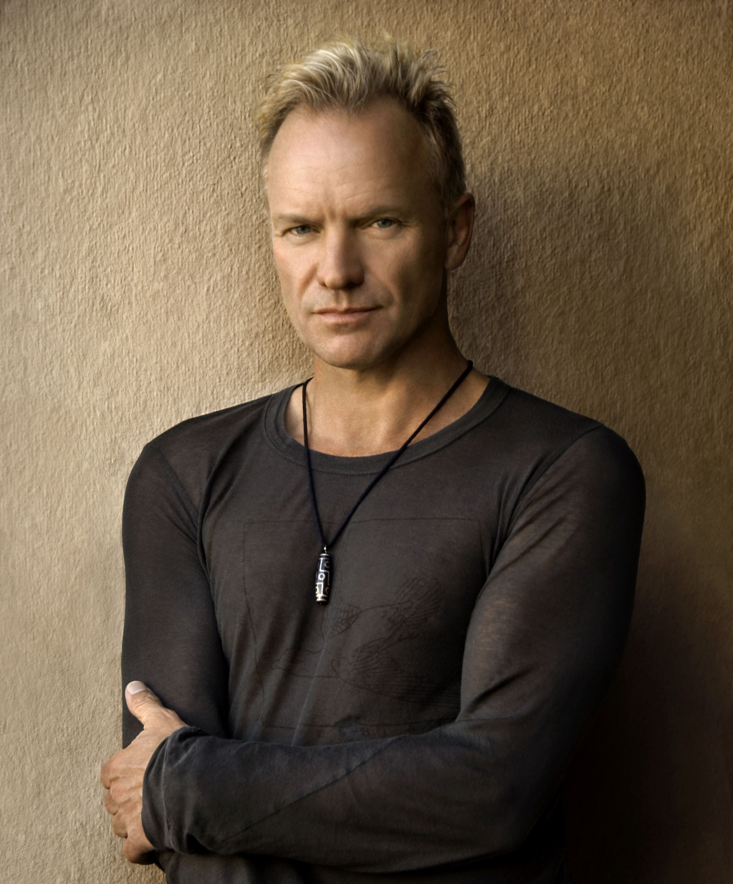 Sting Musician Wallpapers