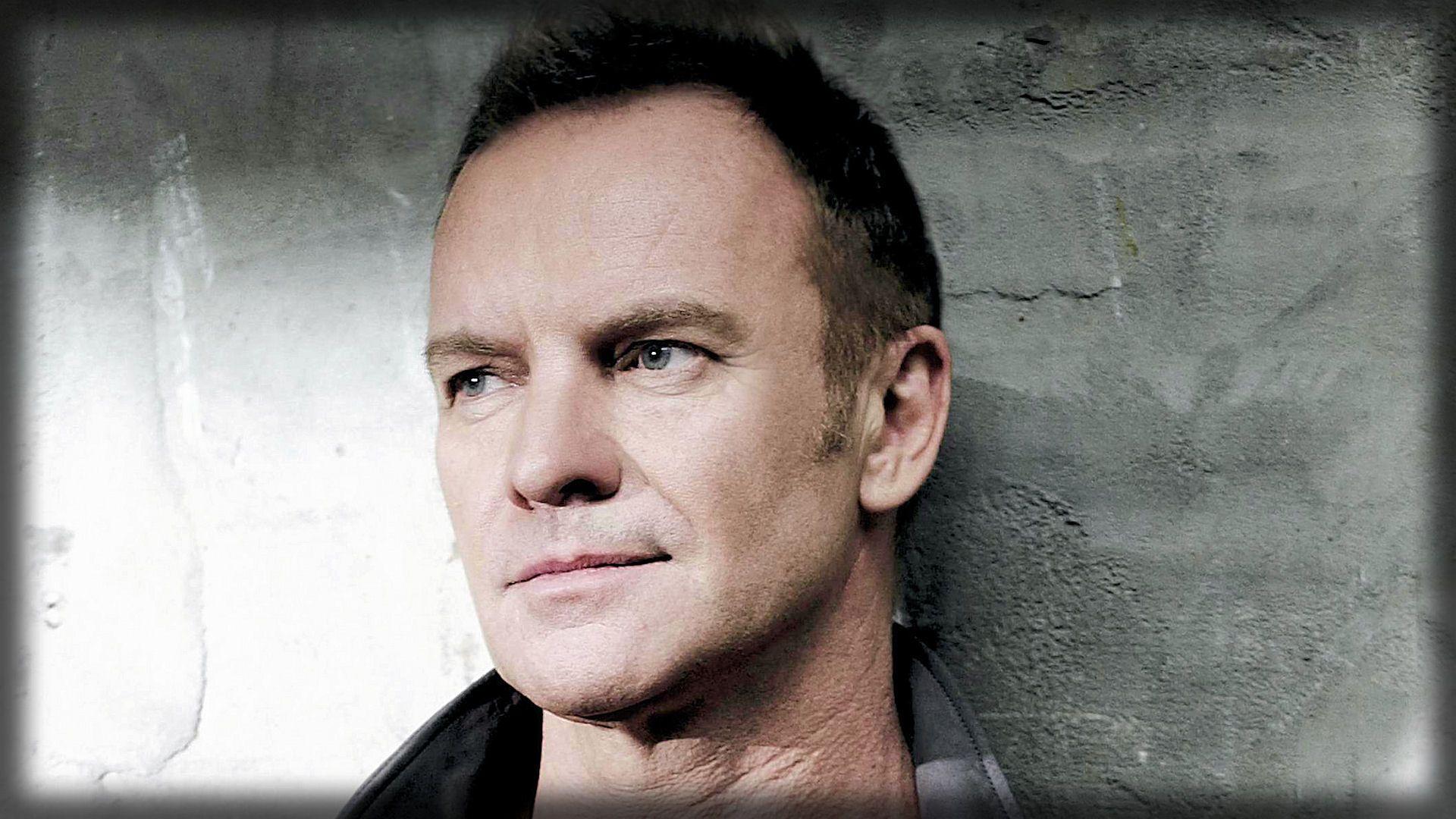 Sting Musician Wallpapers