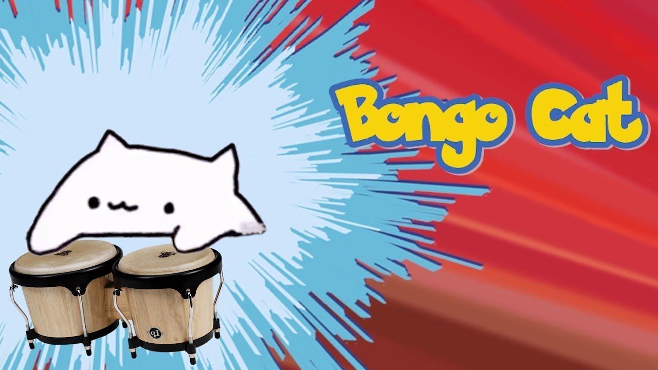 Bongo Wallpapers