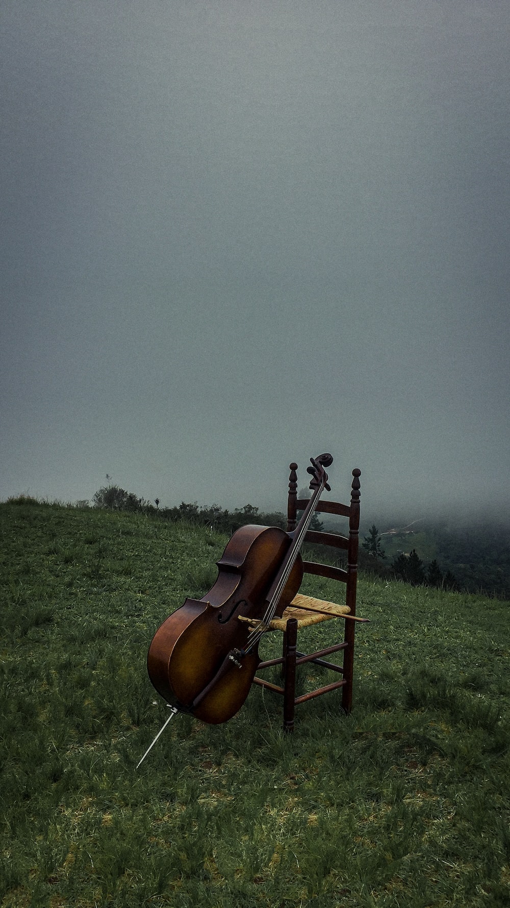 Cello Wallpapers