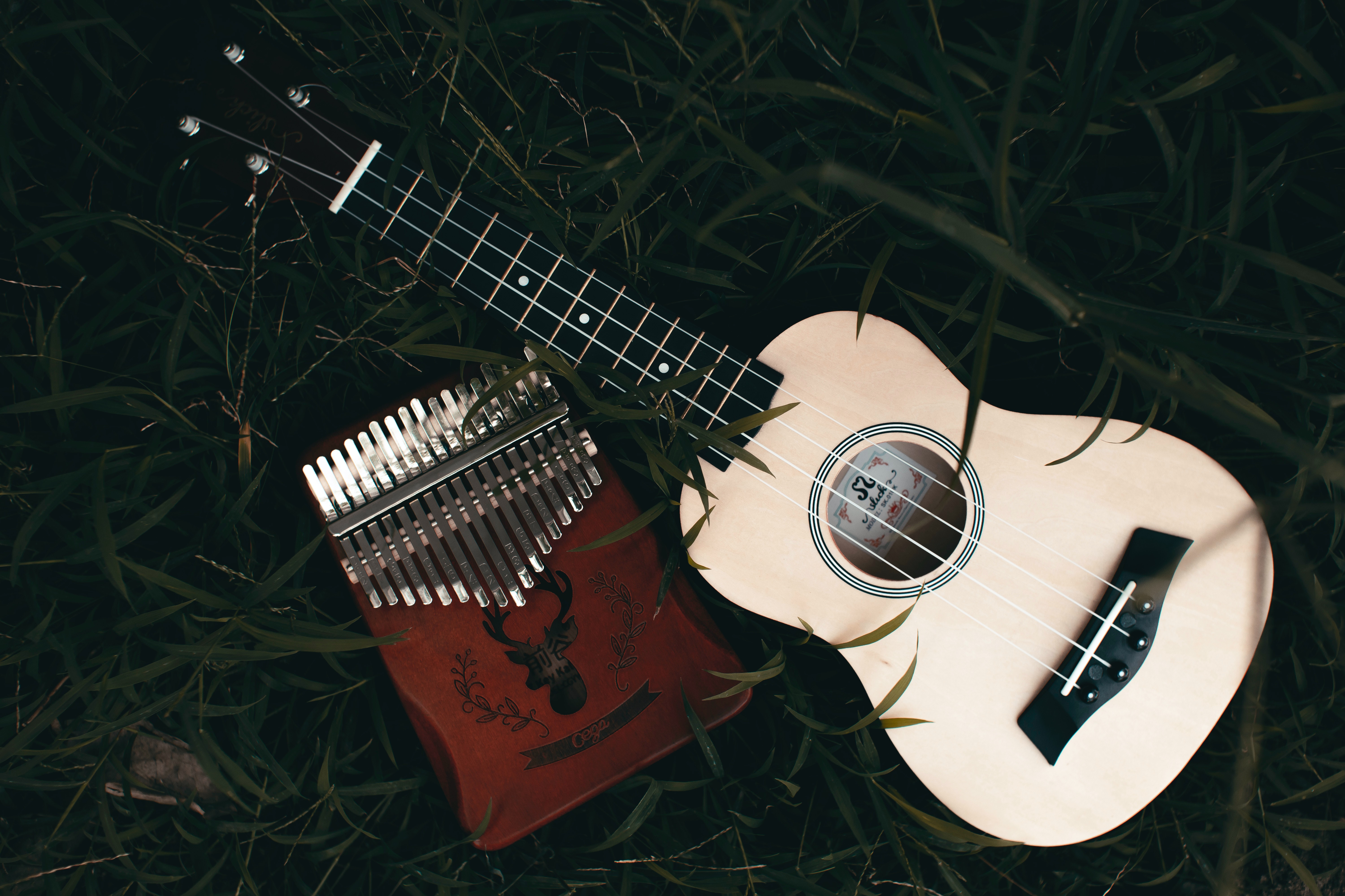 Folk Music Wallpapers