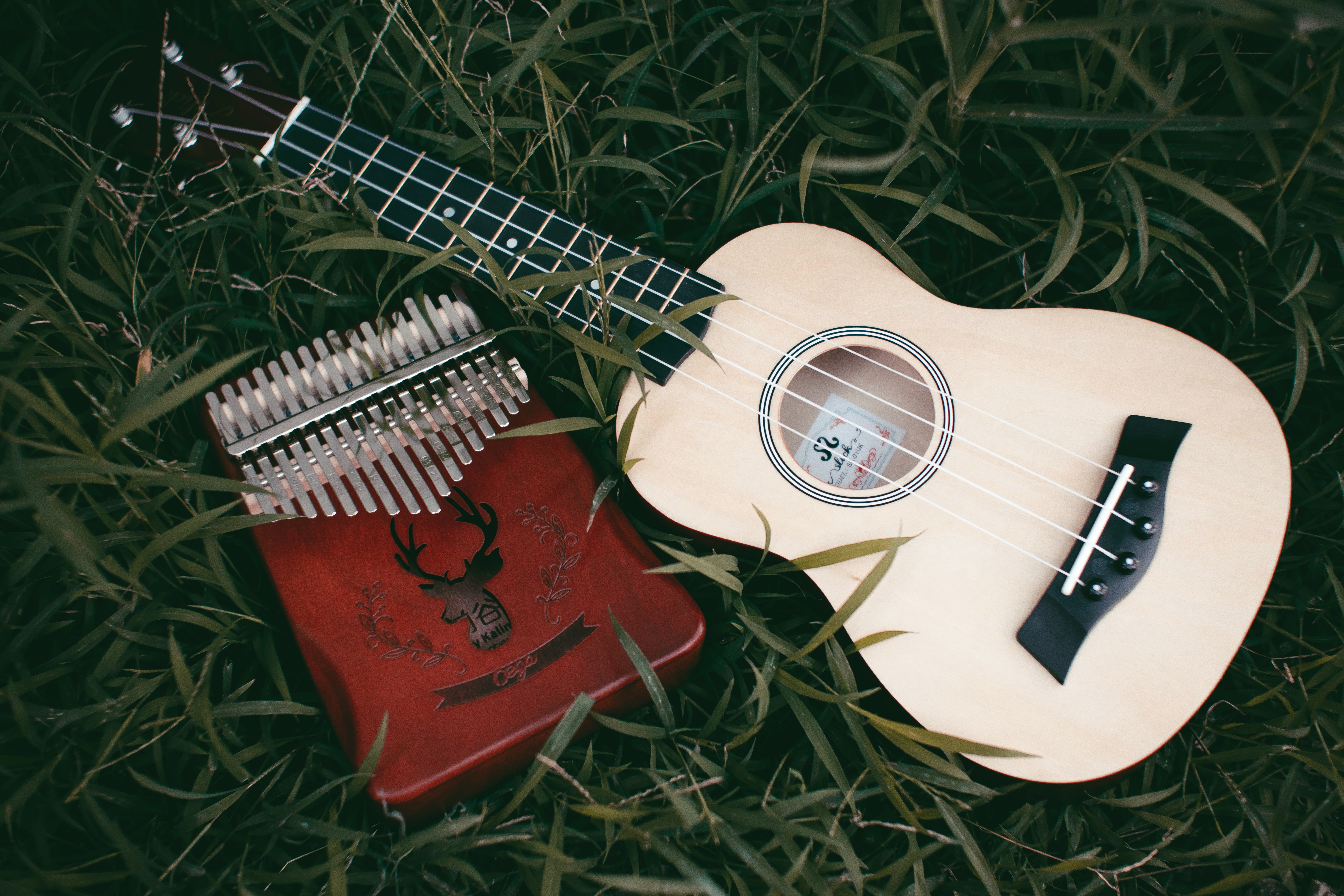 Folk Music Wallpapers