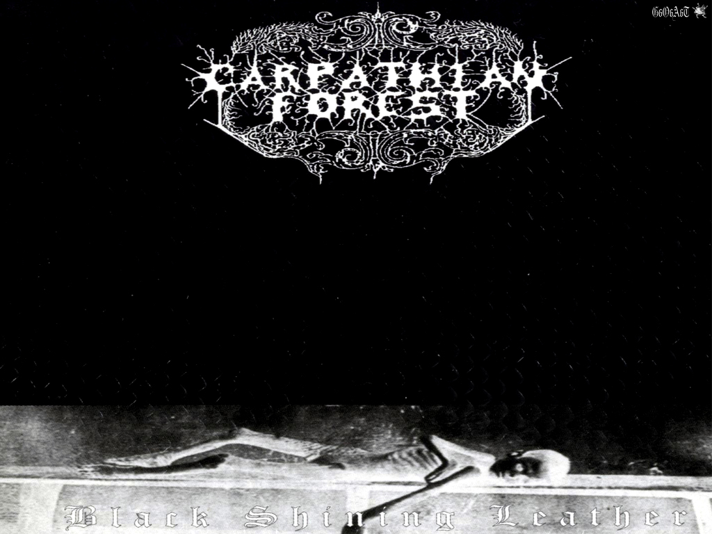 Carpathian Forest Wallpapers