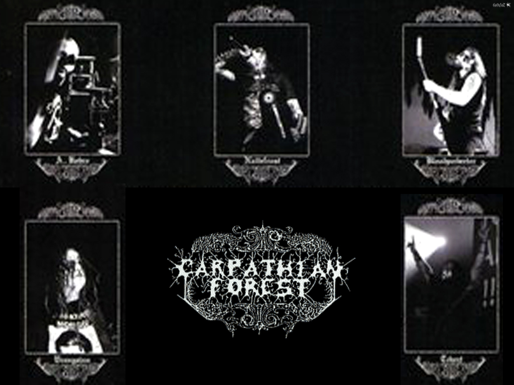 Carpathian Forest Wallpapers