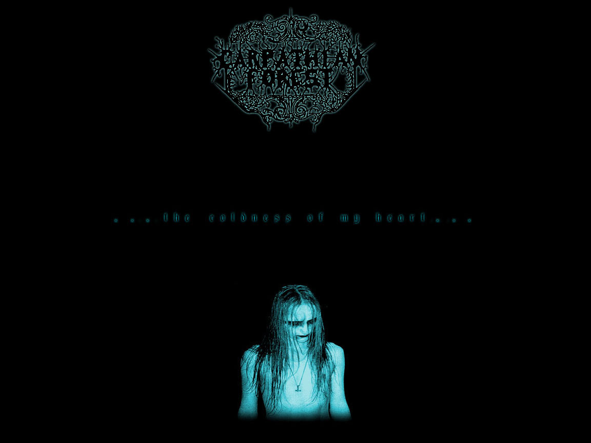 Carpathian Forest Wallpapers