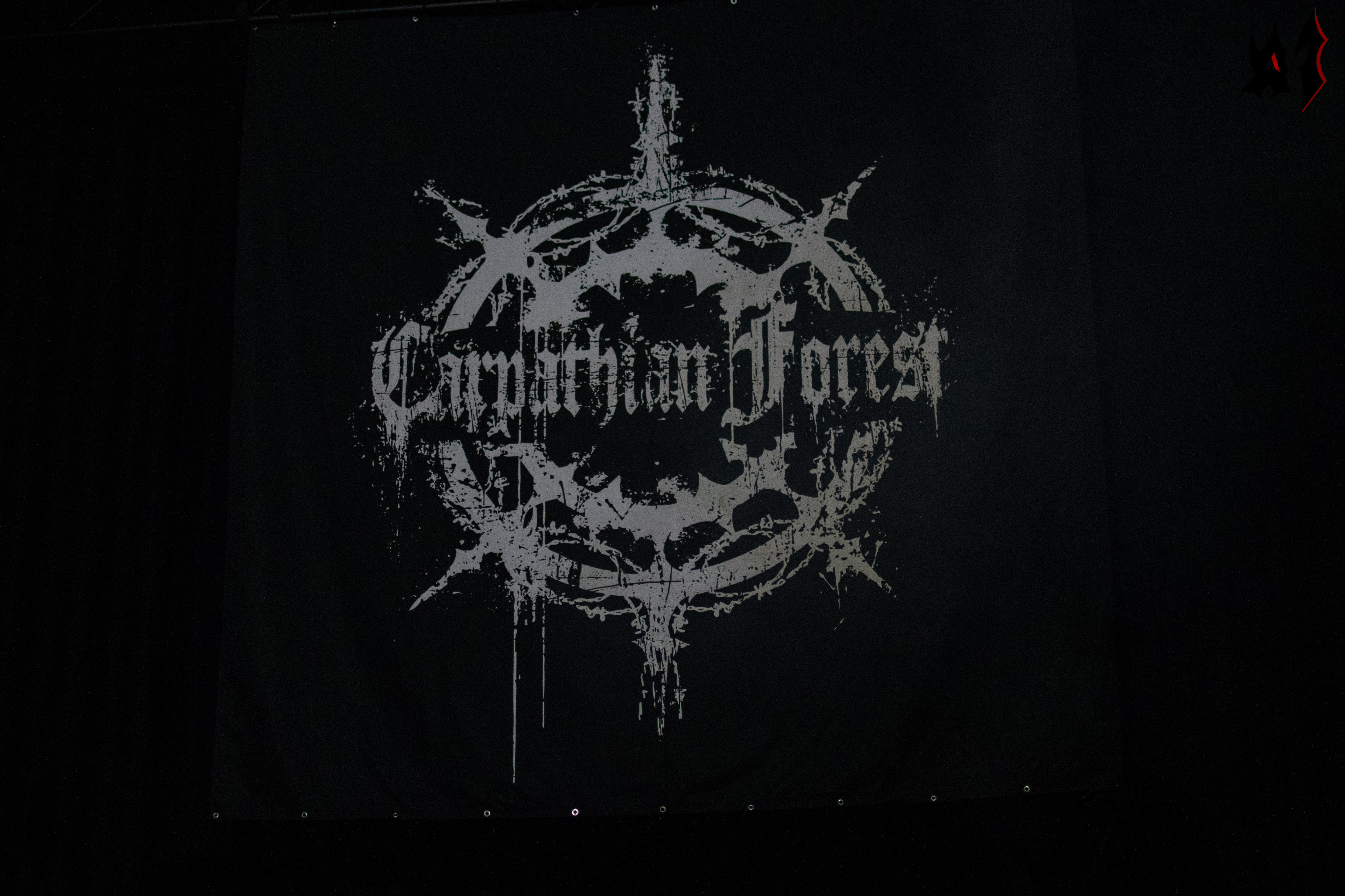 Carpathian Forest Wallpapers