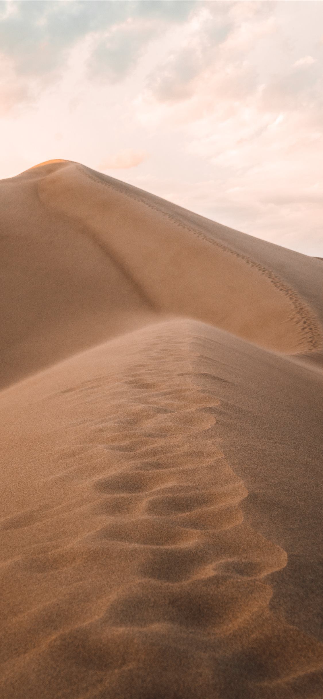 Giant Sand Wallpapers