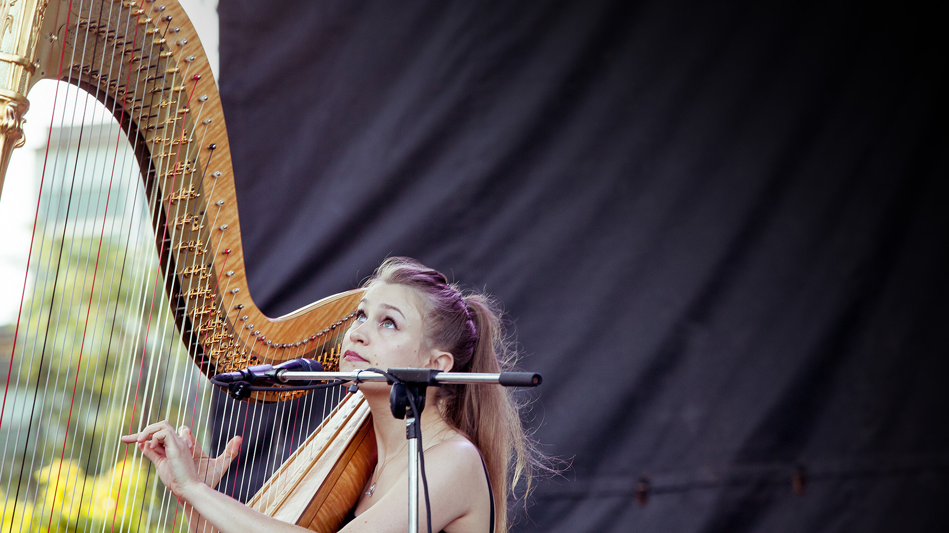 Joanna Newsom Wallpapers