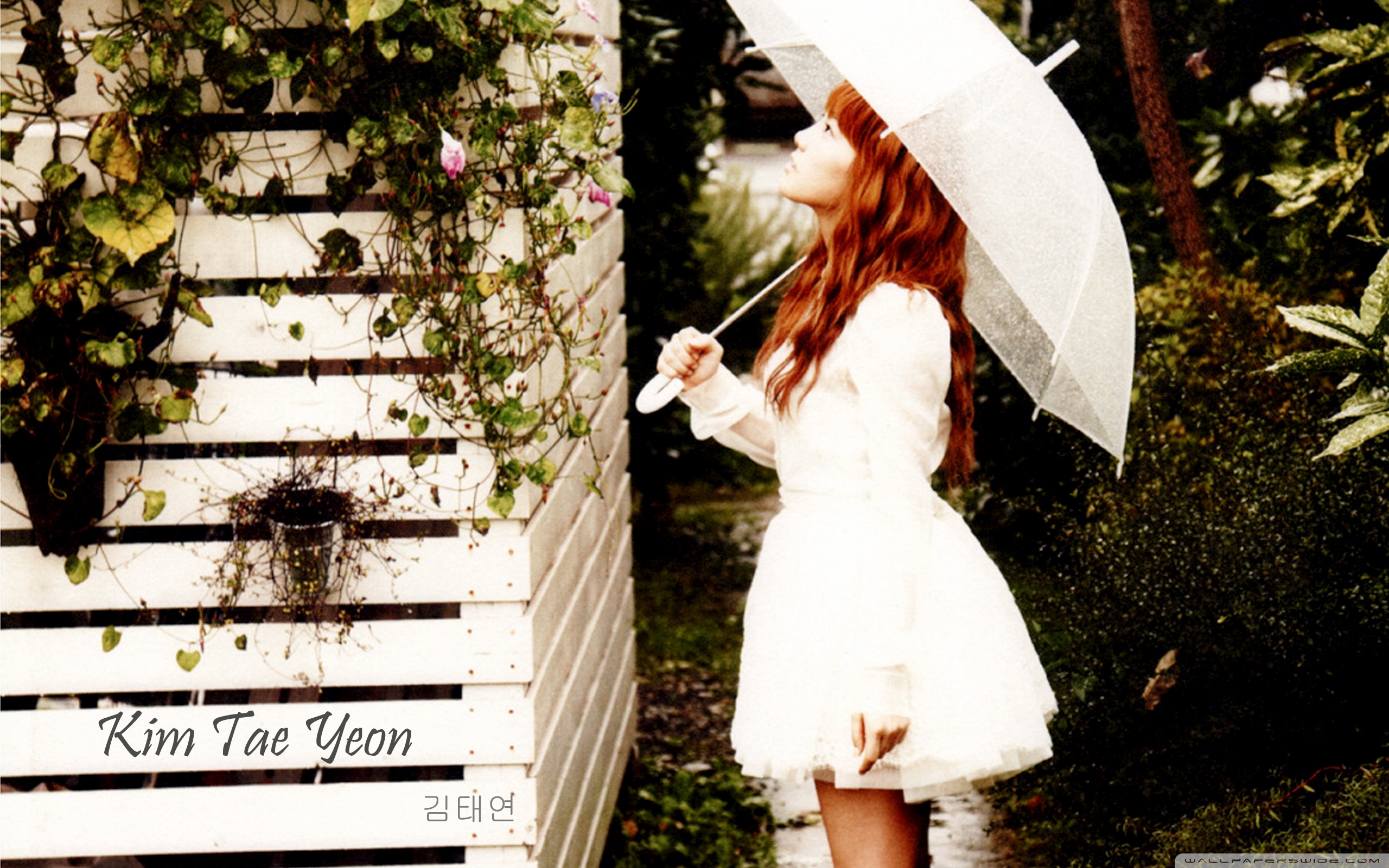 Kim Tae Yeon Wallpapers