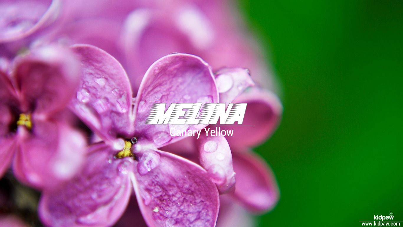 Mellina Wallpapers