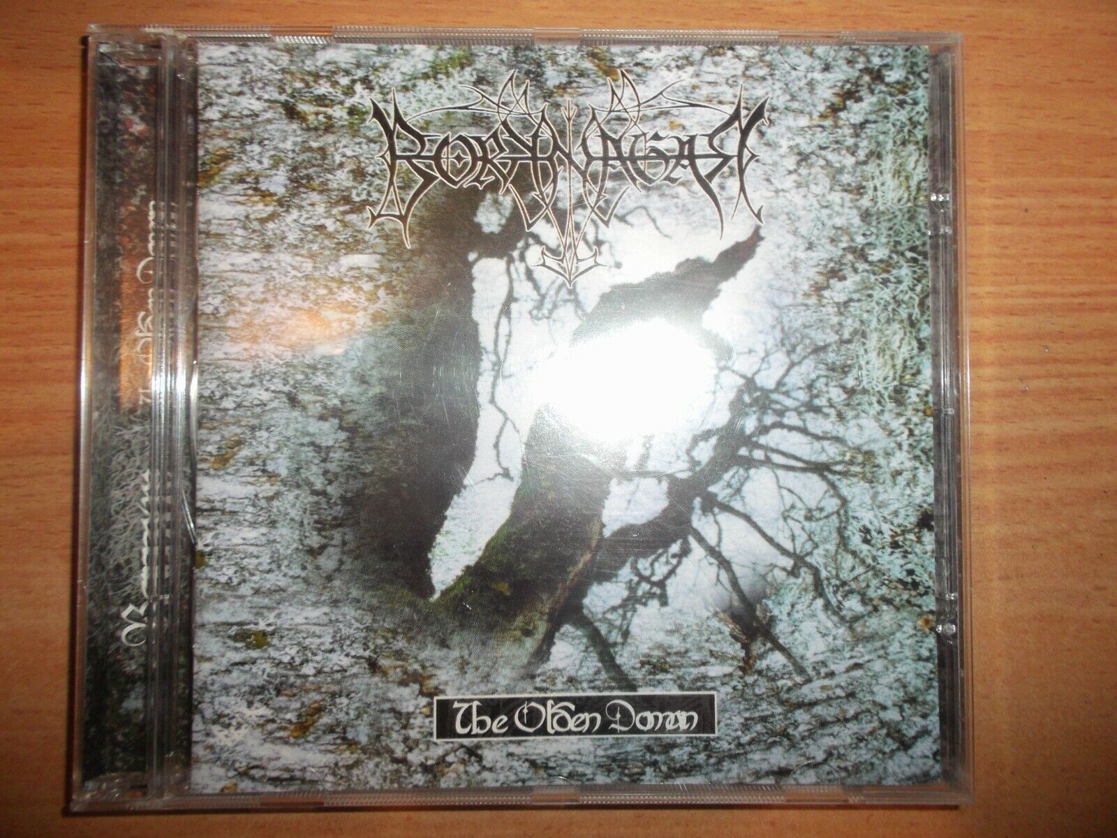 Borknagar Wallpapers