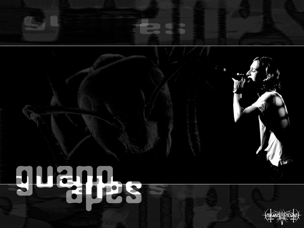 Guano Apes Wallpapers