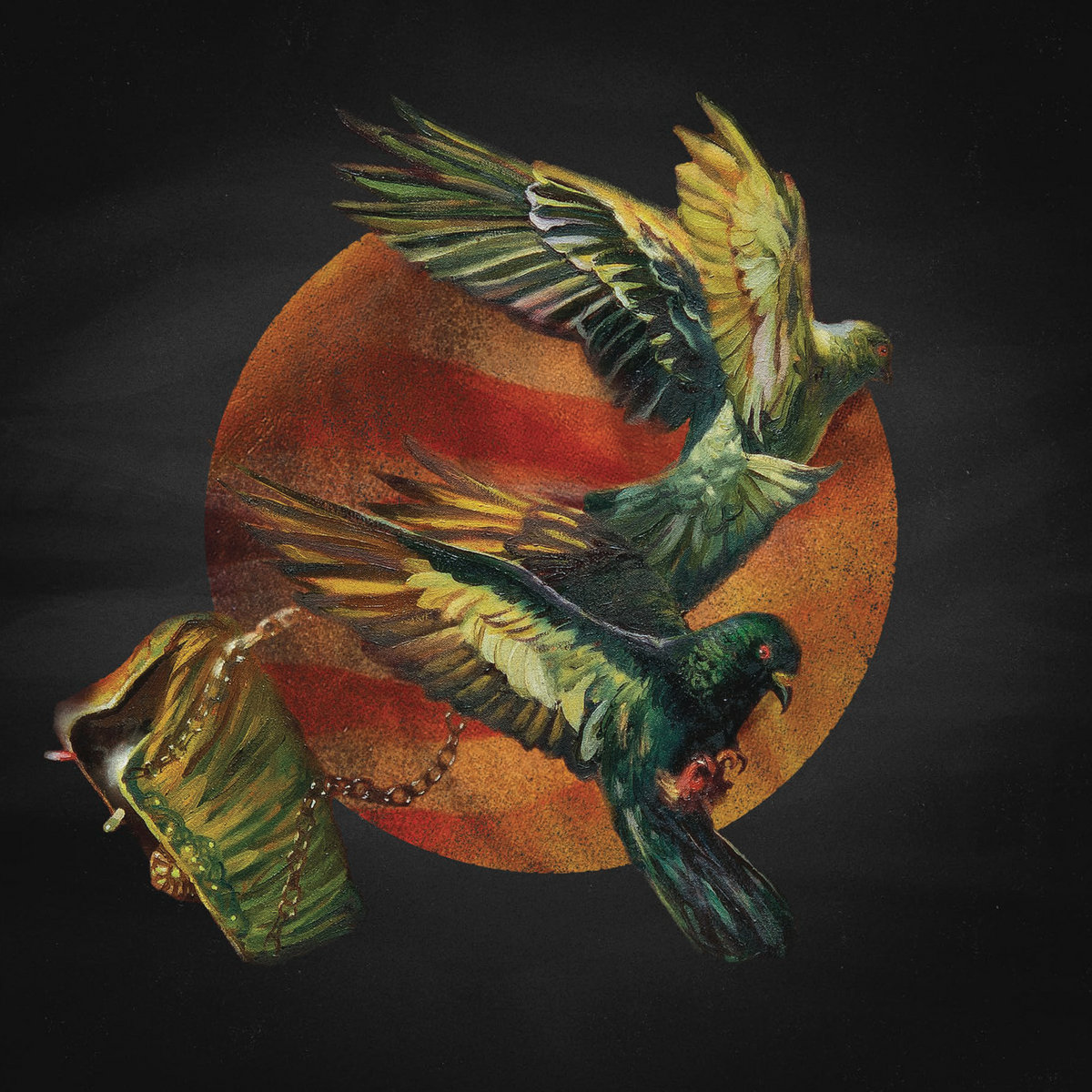 Protest The Hero Wallpapers