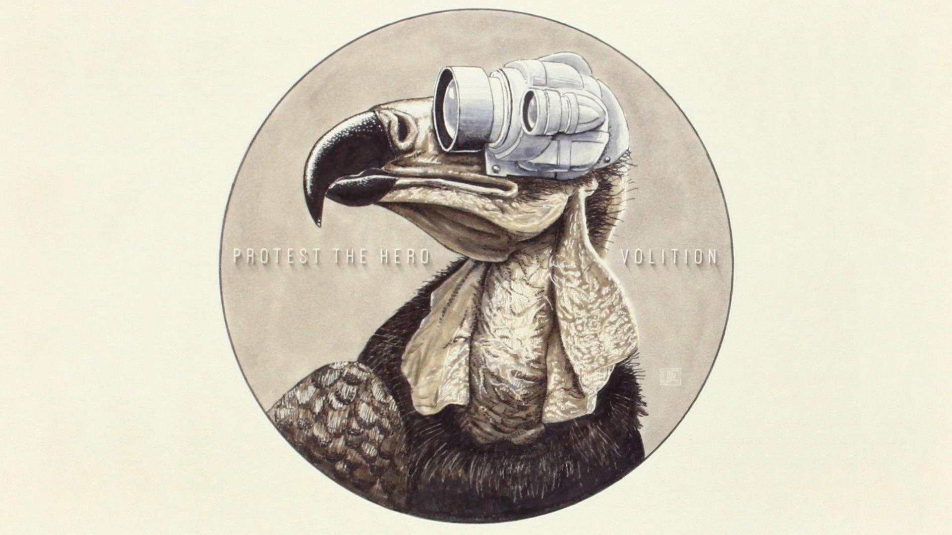 Protest The Hero Wallpapers