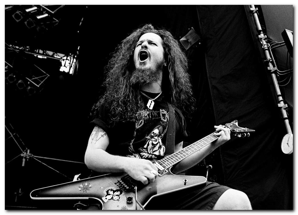 Dimebag Darrell Wallpapers