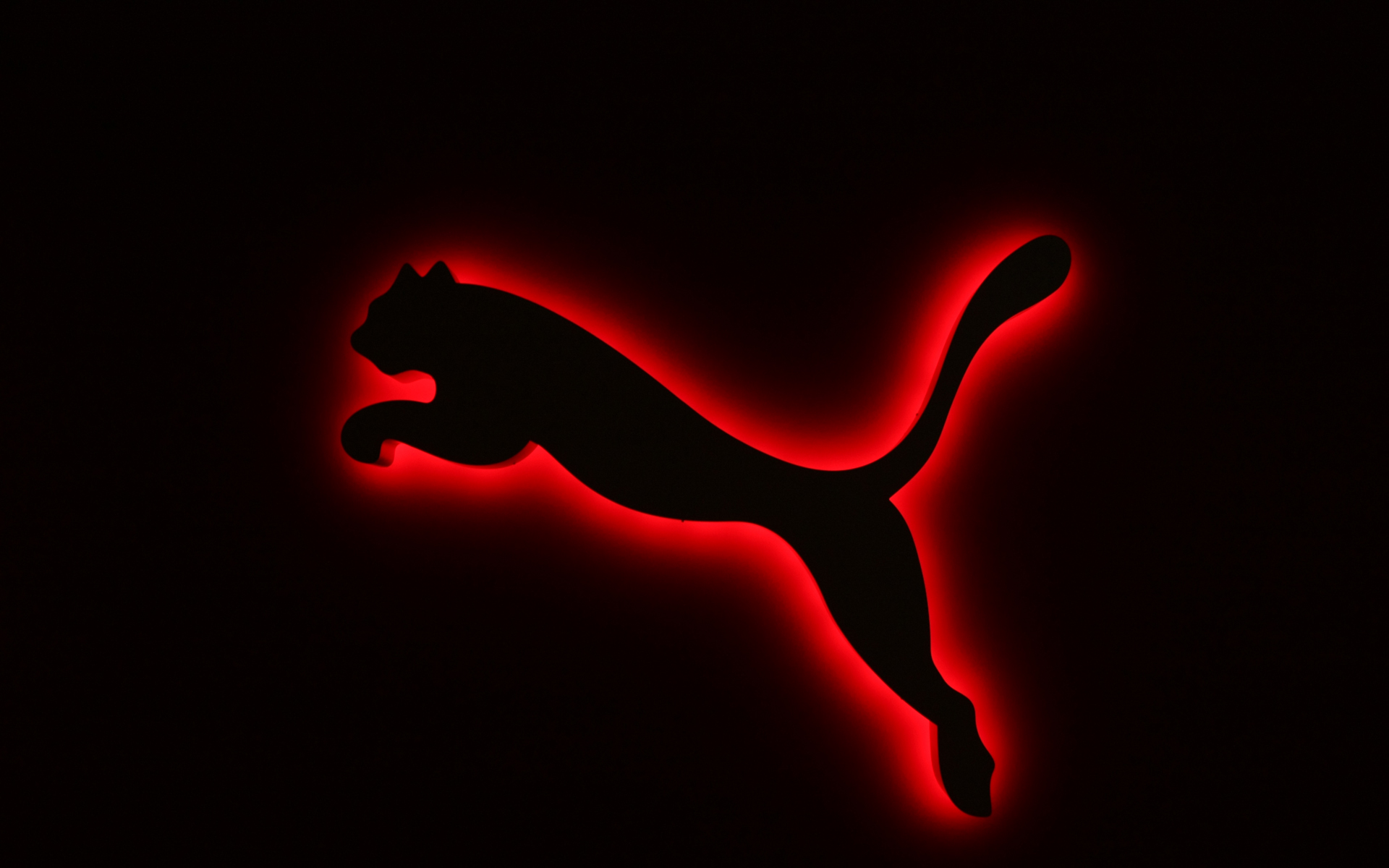 Black Pumas Wallpapers