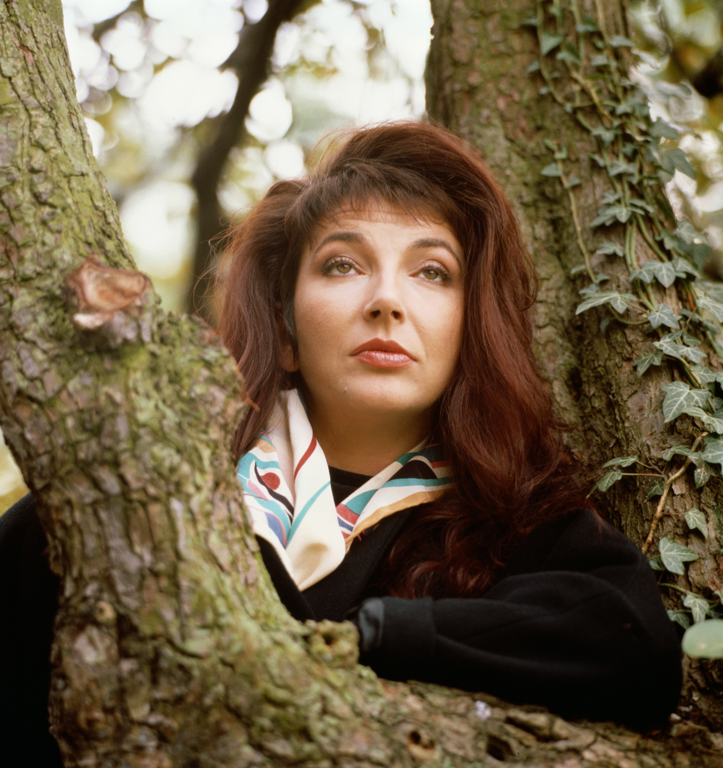 Kate Bush Wallpapers