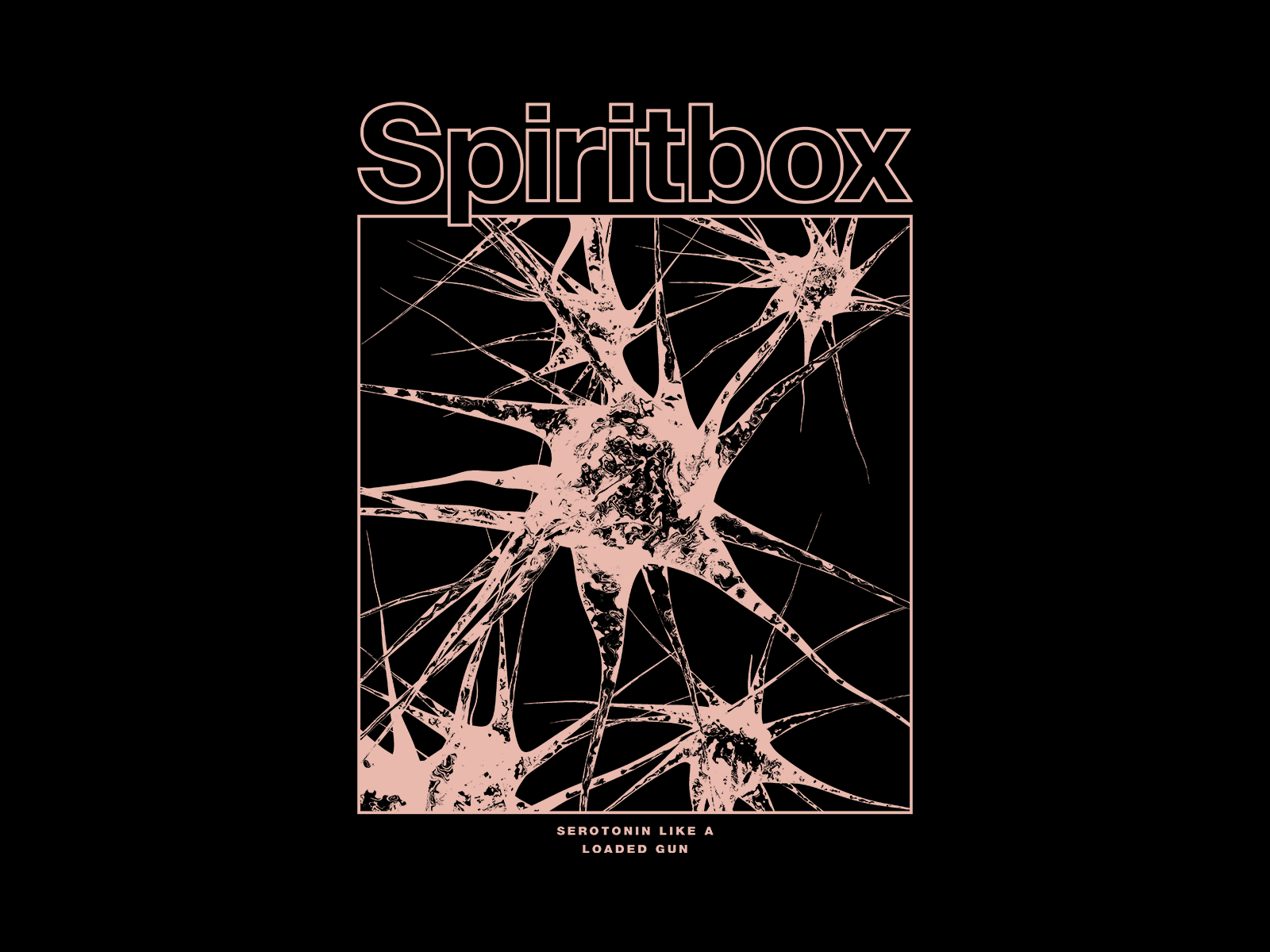 Spiritbox Wallpapers