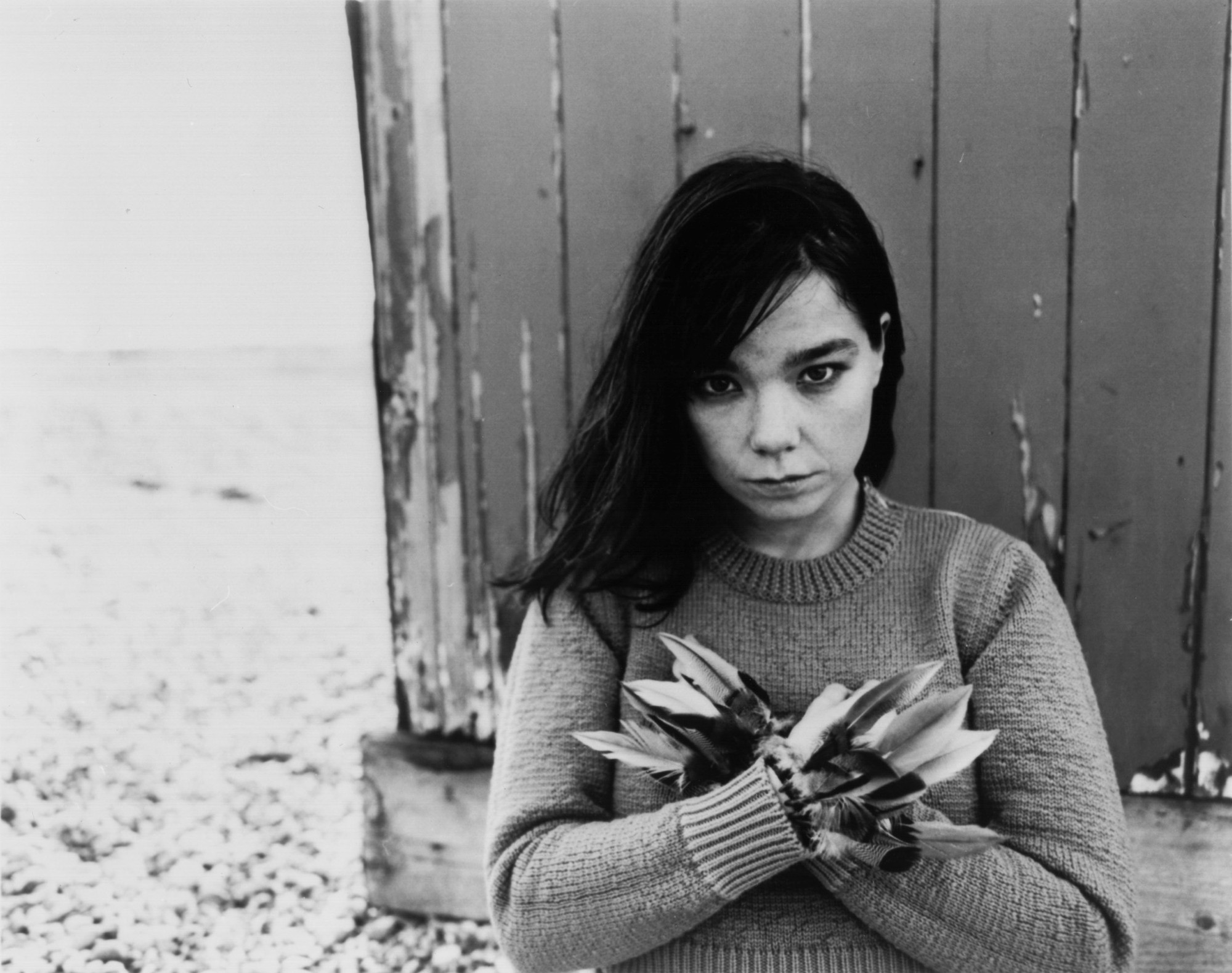 BjoRk Wallpapers