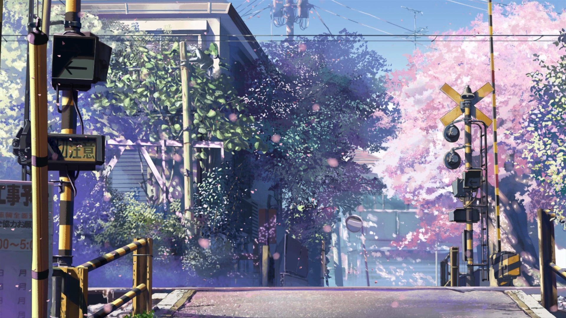 5 Centimeters Per Second Wallpapers