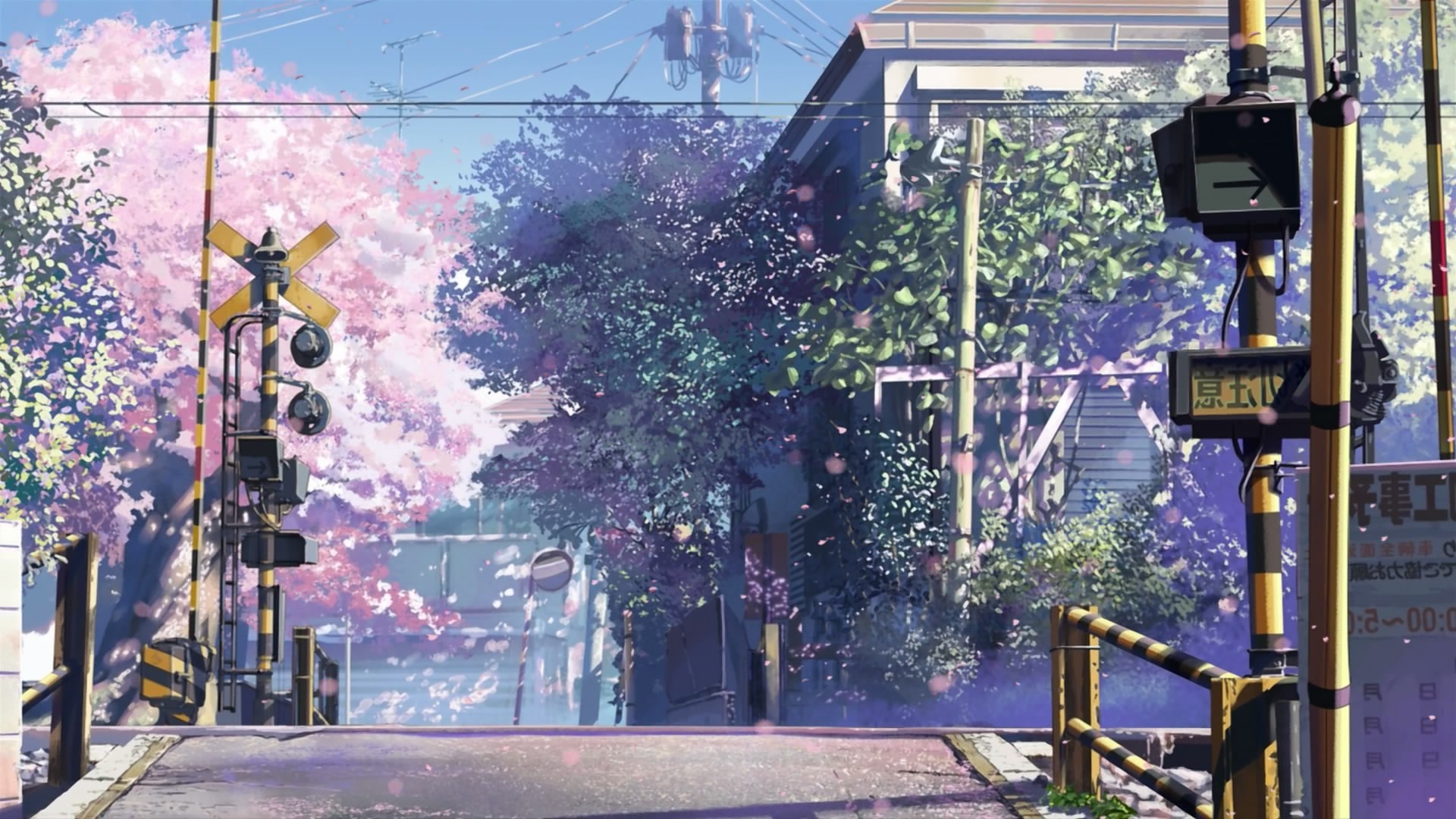 5 Centimeters Per Second Wallpapers